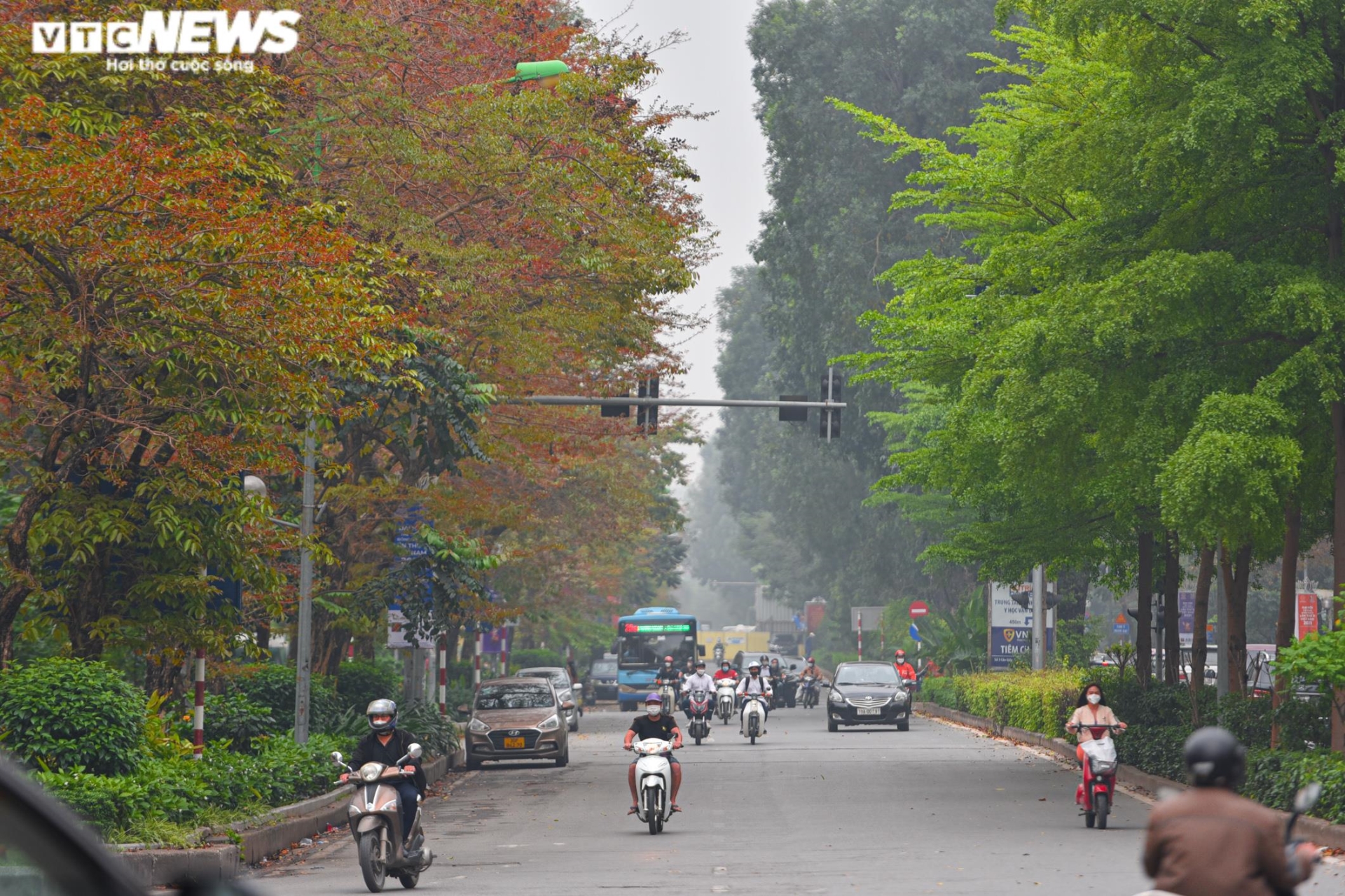 Ảnh: Phố phường Hà Nội đẹp nên thơ mùa cây thay lá - 5