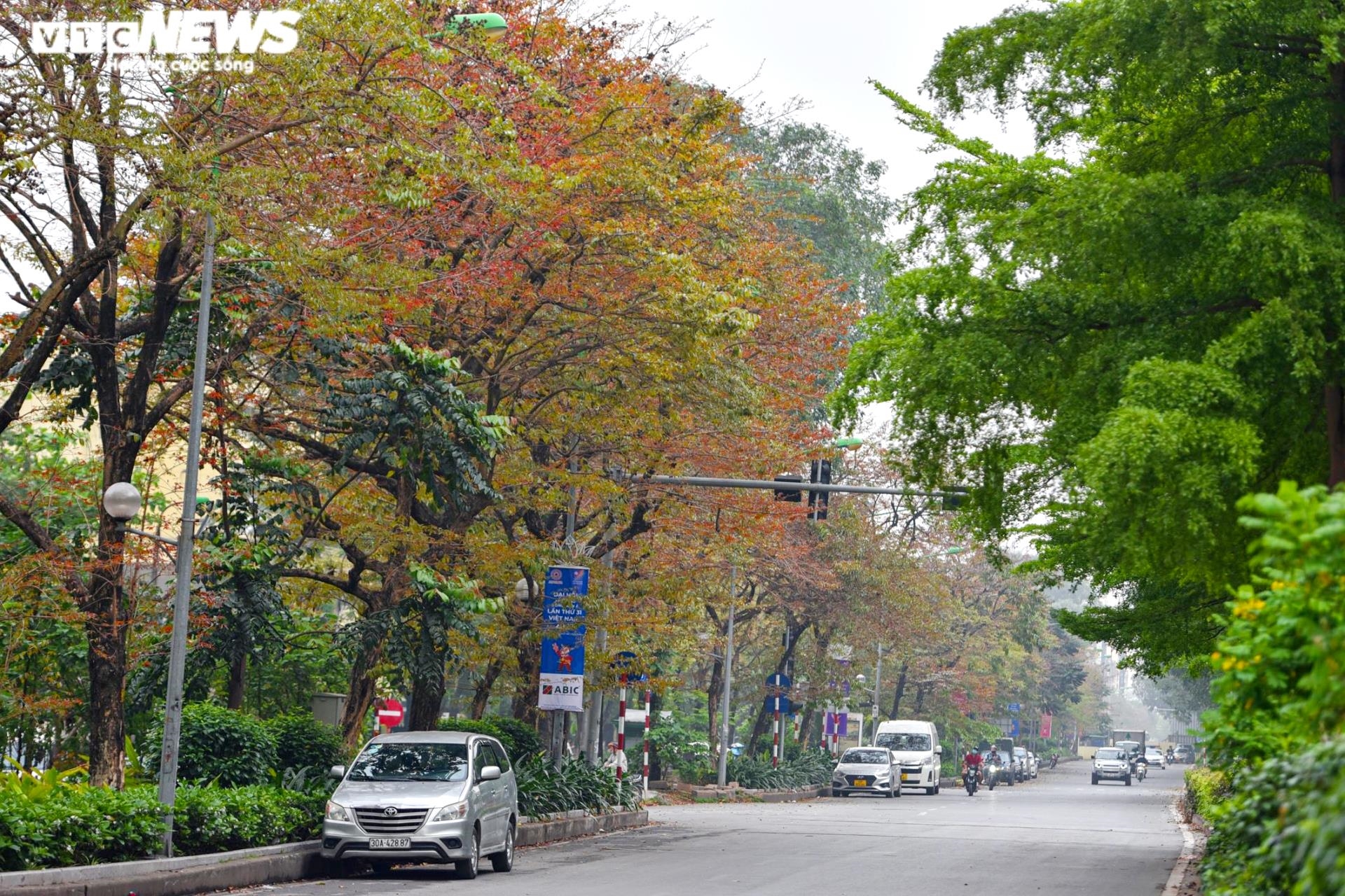 Ảnh: Phố phường Hà Nội đẹp nên thơ mùa cây thay lá - 1