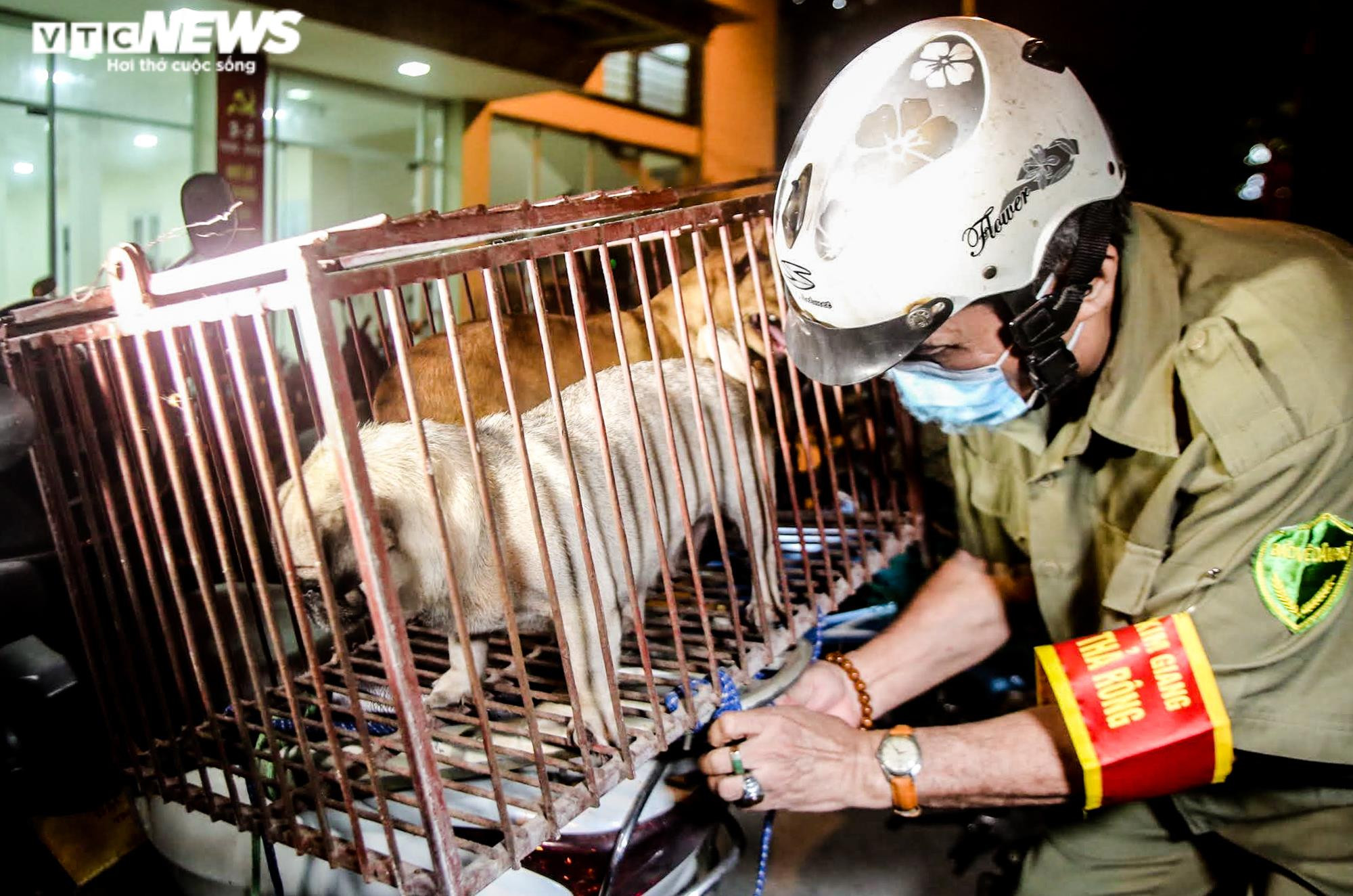 Ảnh: Theo chân đội bắt chó thả rông trong đêm ở Hà Nội - 7