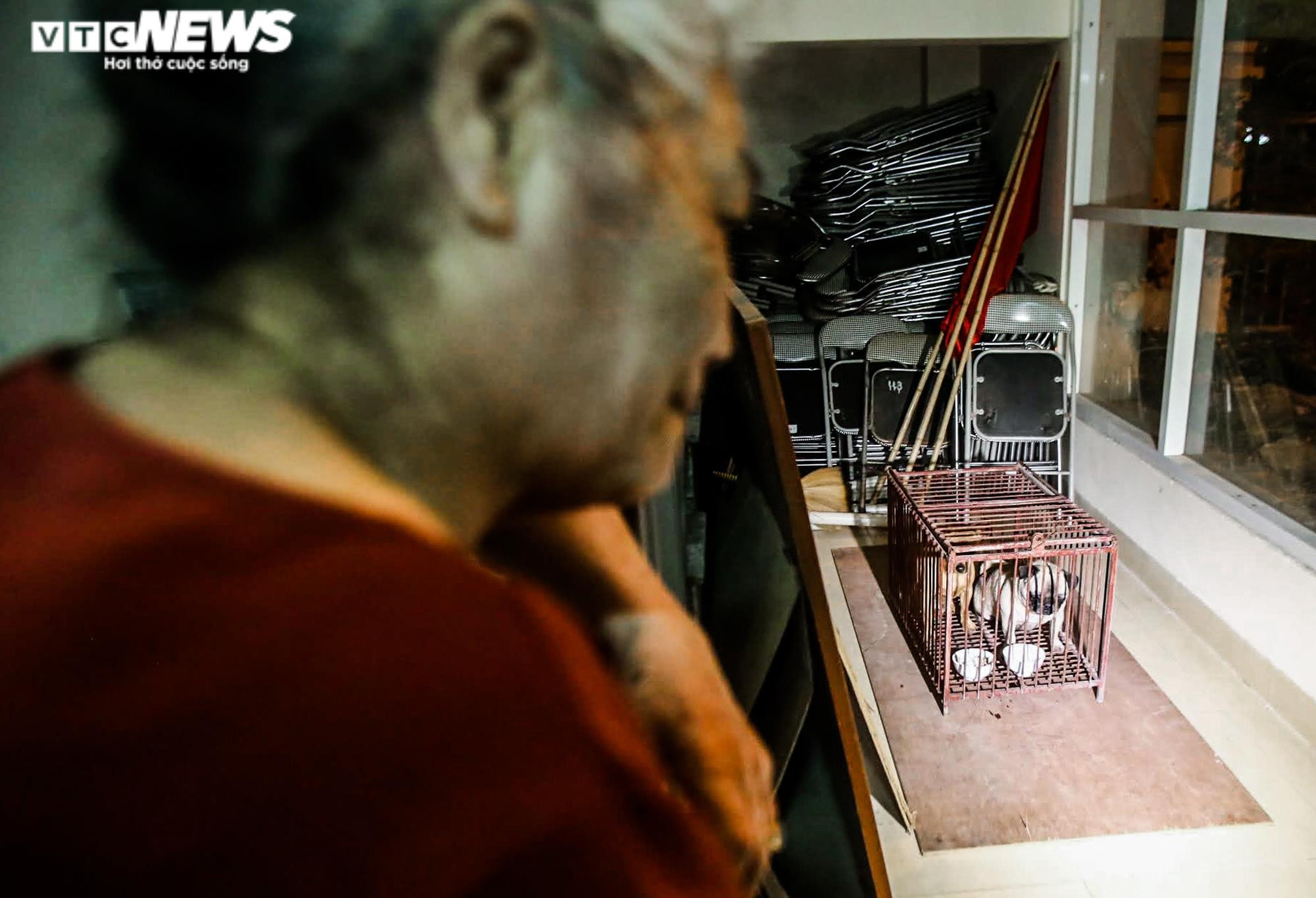 Ảnh: Theo chân đội bắt chó thả rông trong đêm ở Hà Nội - 9