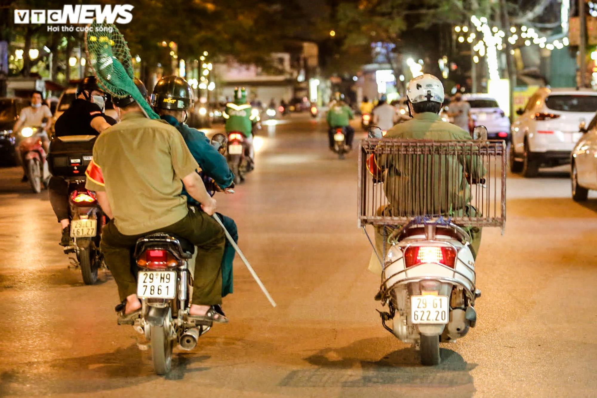 Ảnh: Theo chân đội bắt chó thả rông trong đêm ở Hà Nội - 3