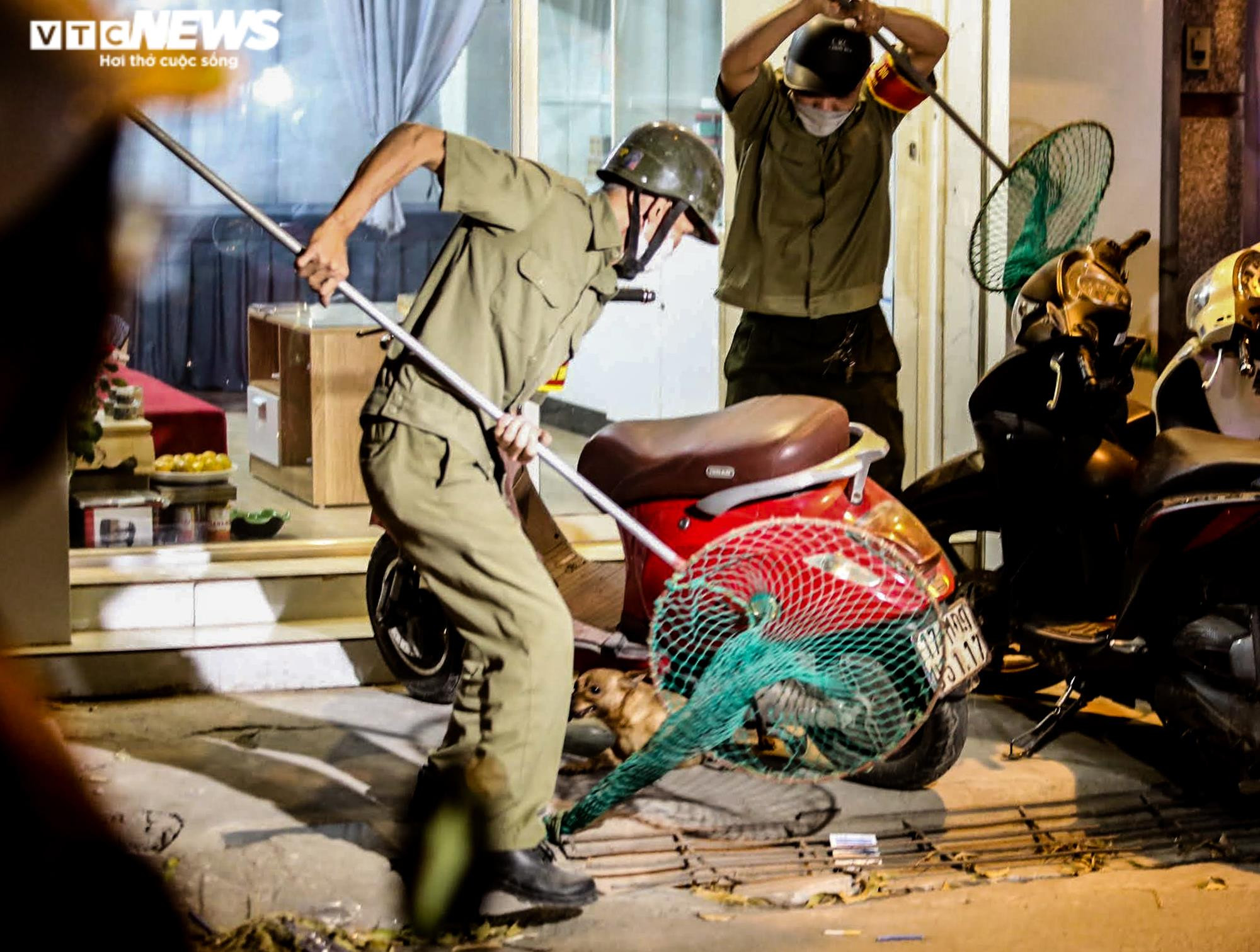 Ảnh: Theo chân đội bắt chó thả rông trong đêm ở Hà Nội - 4