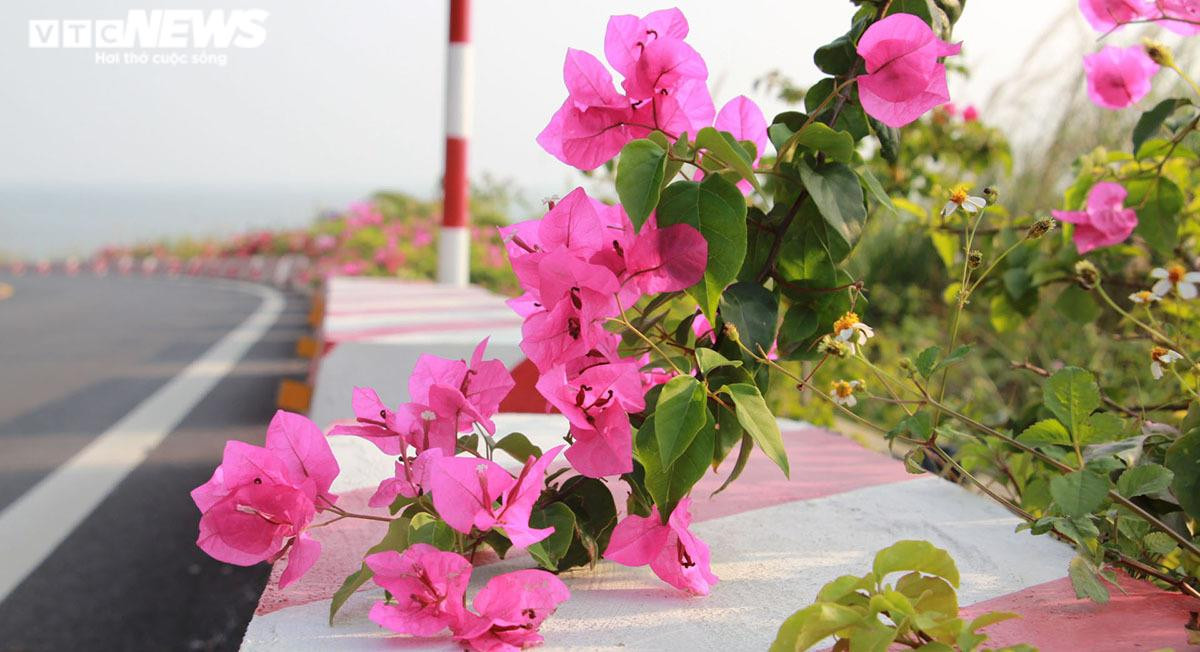 Hải Phòng: Chiêm ngưỡng con đường nghìn tỷ đẹp như tranh vẽ xuyên đảo Cát Bà - 7