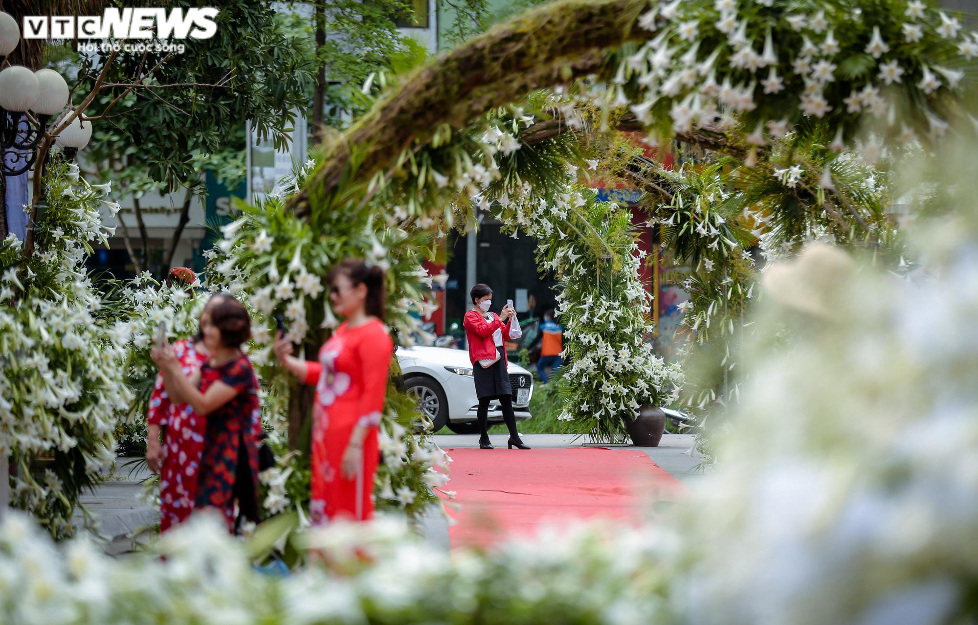 Nghìn bông hoa bách hợp khoe sắc trắng tinh khôi trên phố Hà Nội - 3