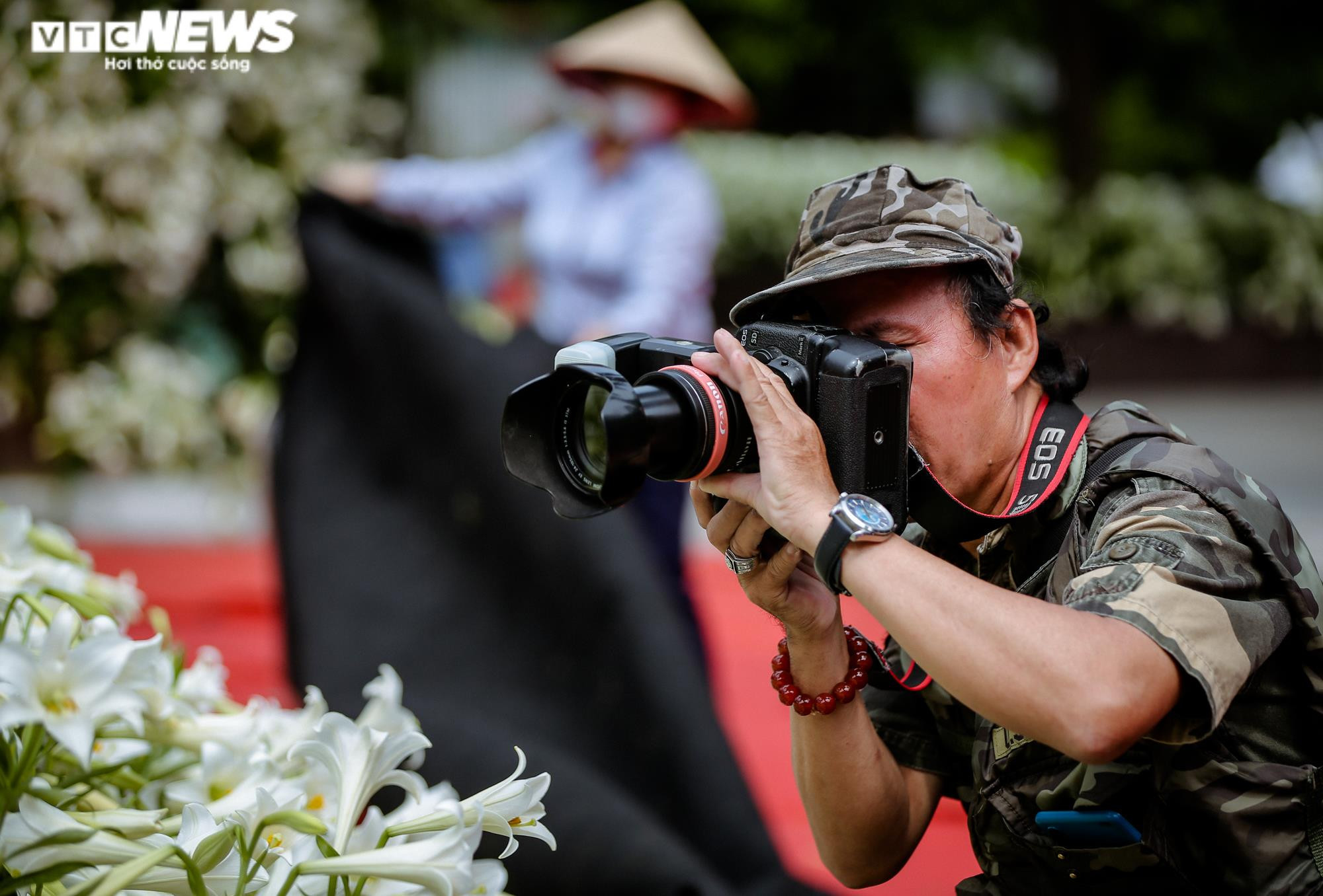 Nghìn bông hoa bách hợp khoe sắc trắng tinh khôi trên phố Hà Nội - 10