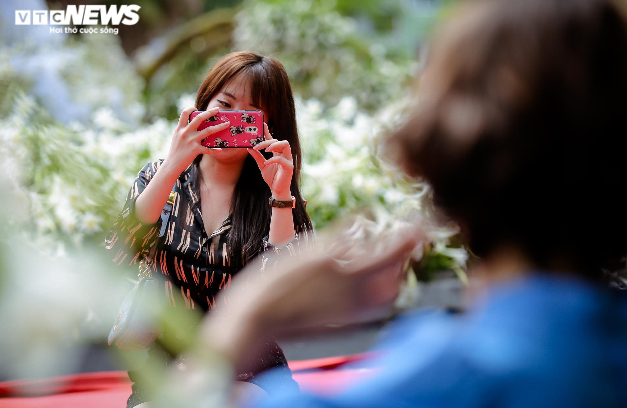 Nghìn bông hoa bách hợp khoe sắc trắng tinh khôi trên phố Hà Nội - 9