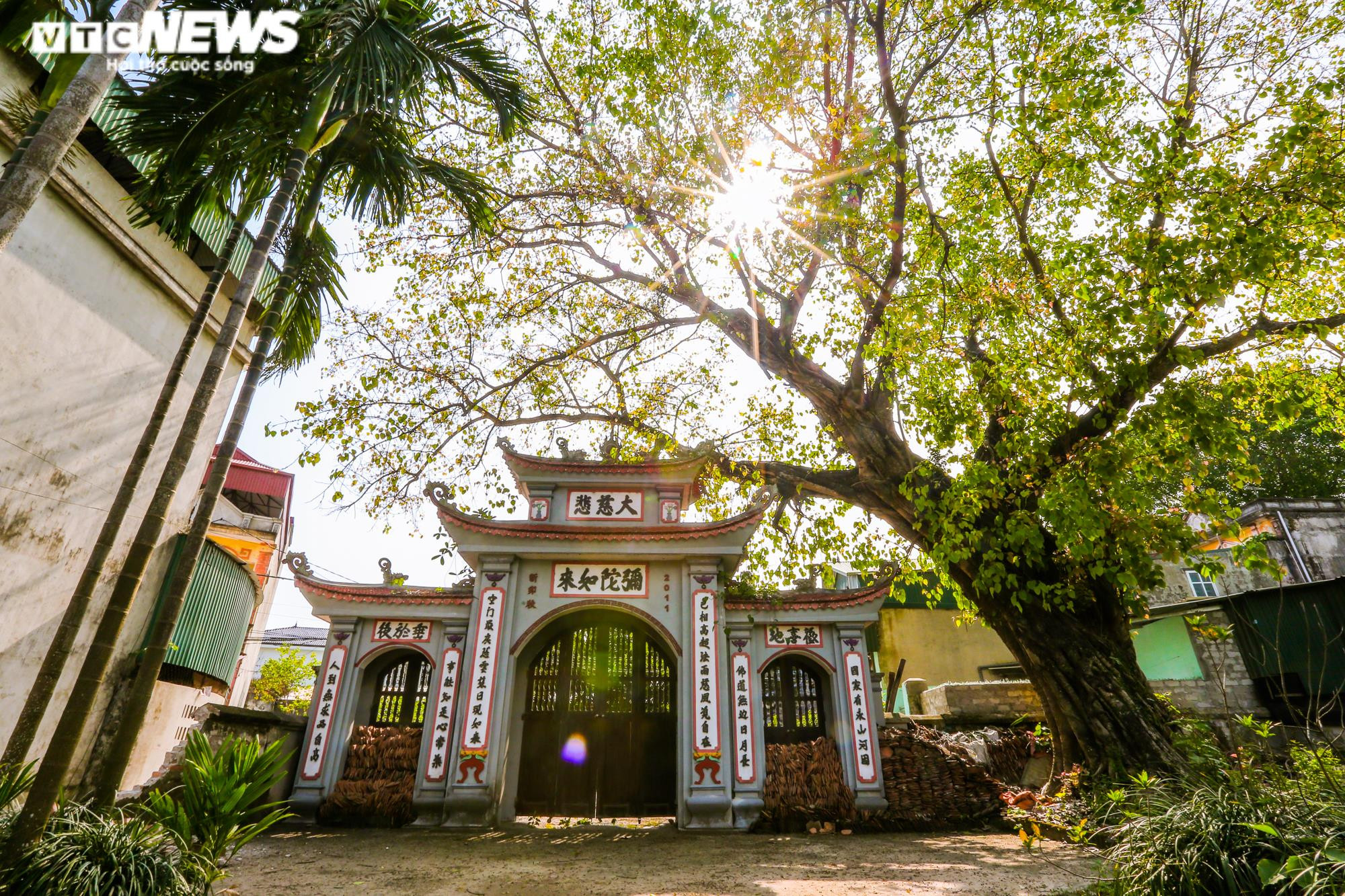 Ảnh: Ngôi chùa gần 700 năm ở Hà Nội nguy cơ sập đổ, dân không dám vào dâng hương - 2