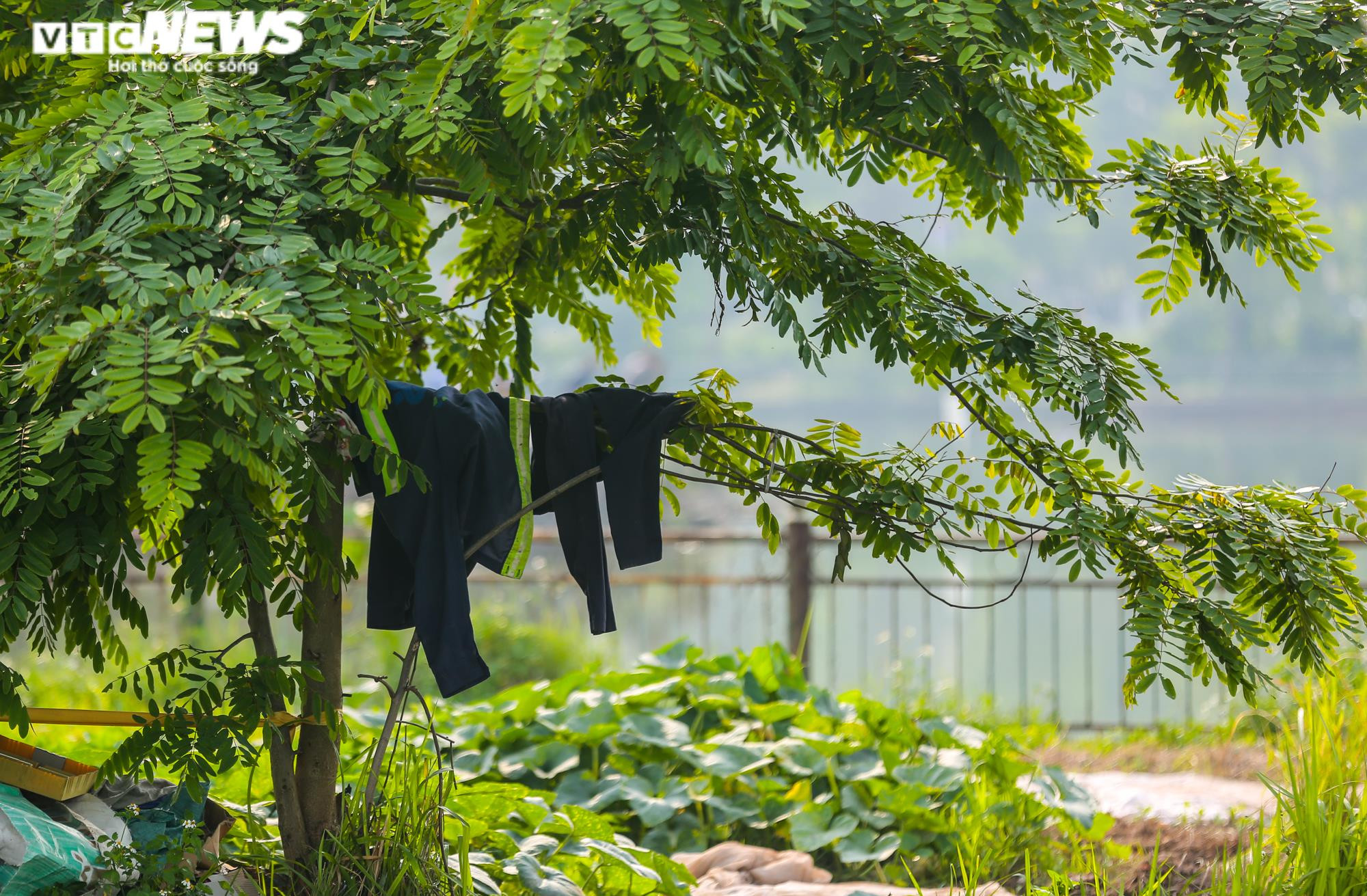 Ảnh: Công viên gần 160 nghìn m2 ở Hà Nội thành nơi... trồng rau, nuôi gà - 16