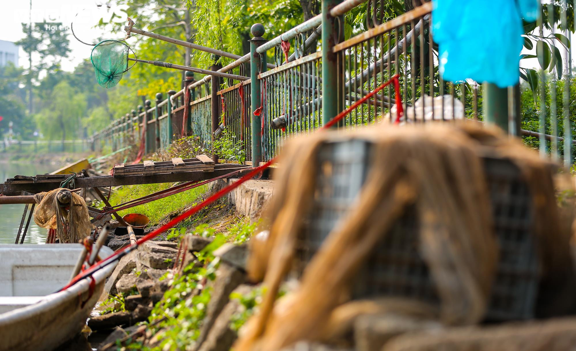 Ảnh: Công viên gần 160 nghìn m2 ở Hà Nội thành nơi... trồng rau, nuôi gà - 17