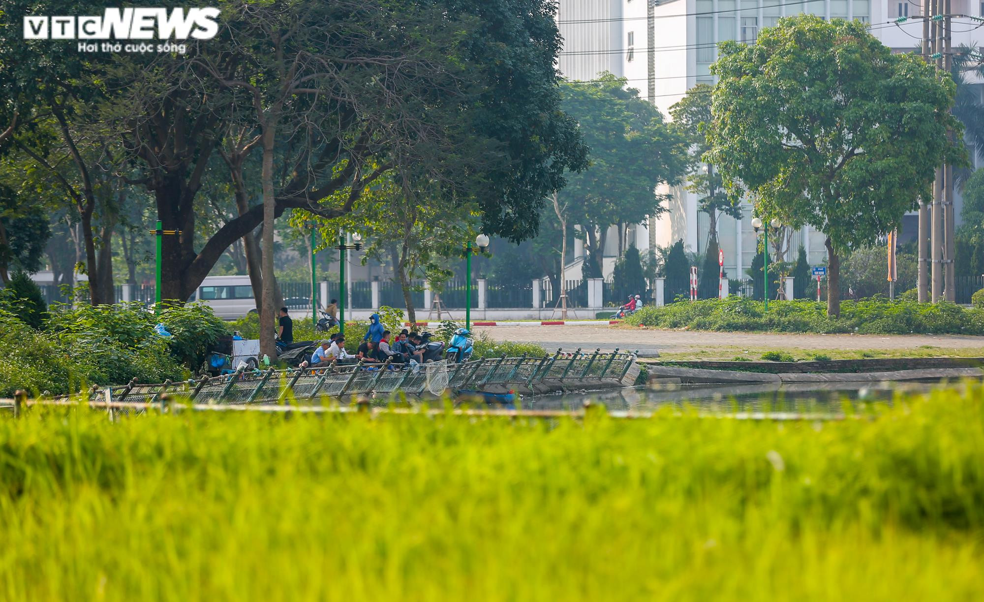 Ảnh: Công viên gần 160 nghìn m2 ở Hà Nội thành nơi... trồng rau, nuôi gà - 19