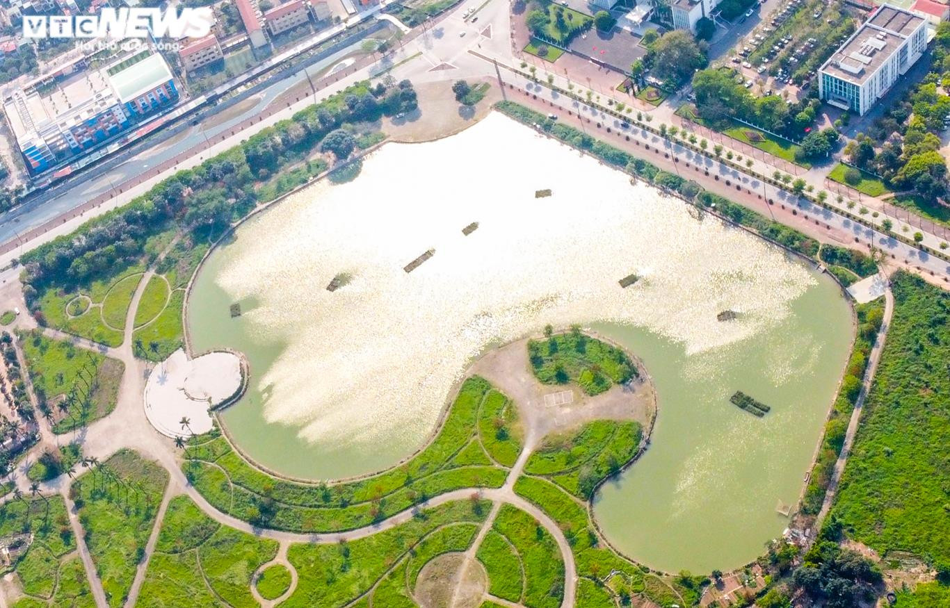 Ảnh: Công viên gần 160 nghìn m2 ở Hà Nội thành nơi... trồng rau, nuôi gà - 1