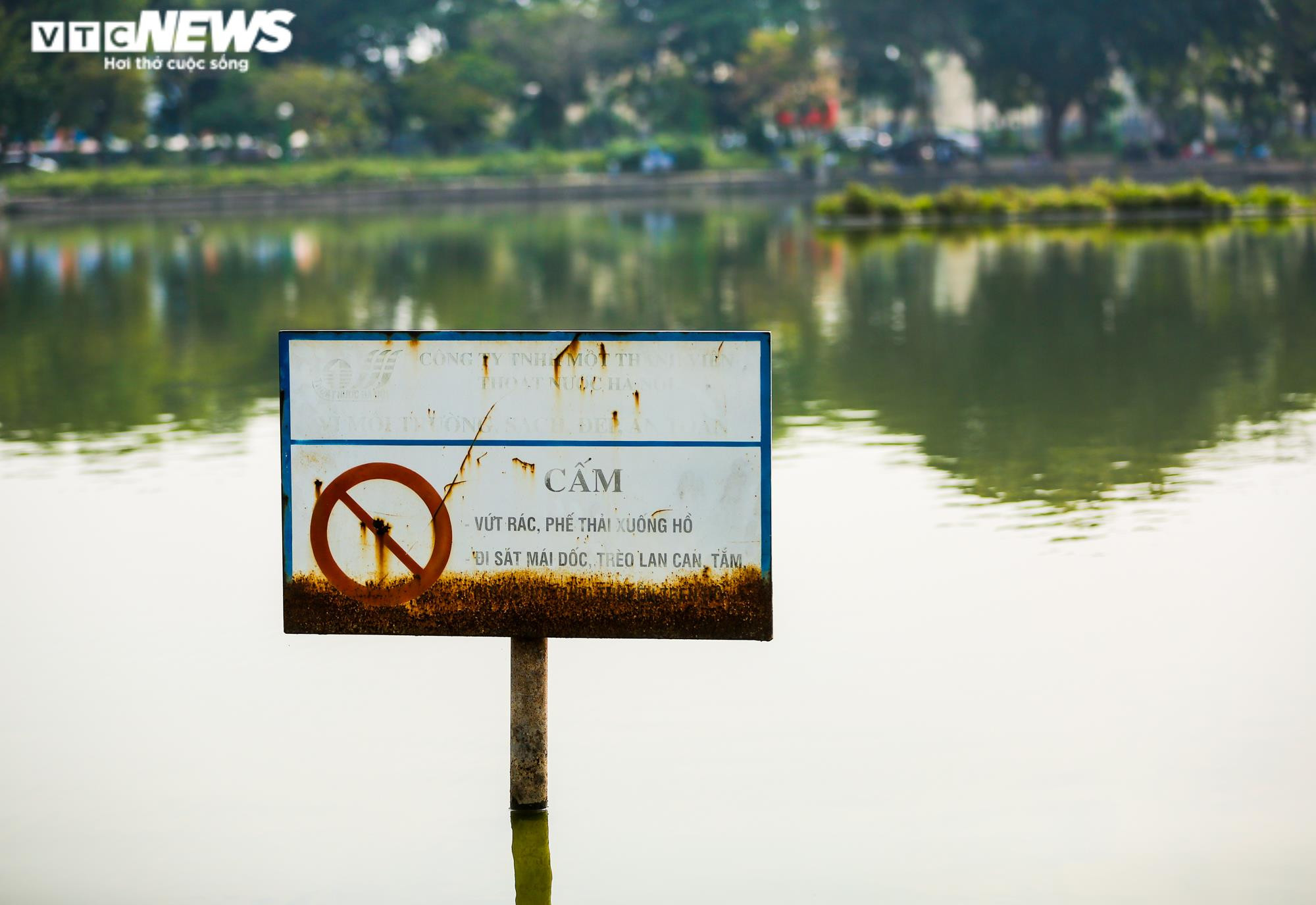 Ảnh: Công viên gần 160 nghìn m2 ở Hà Nội thành nơi... trồng rau, nuôi gà - 6