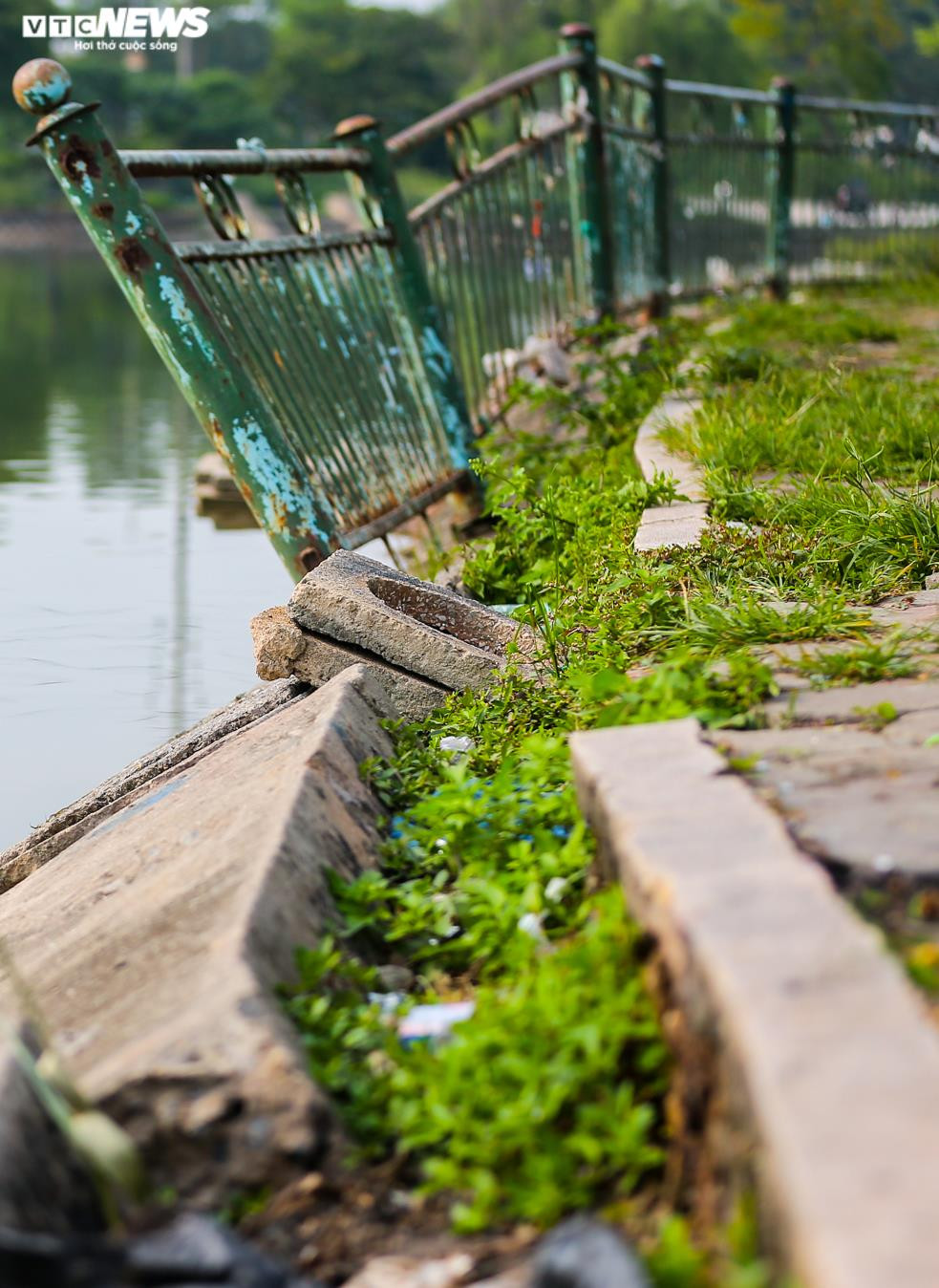 Ảnh: Công viên gần 160 nghìn m2 ở Hà Nội thành nơi... trồng rau, nuôi gà - 4