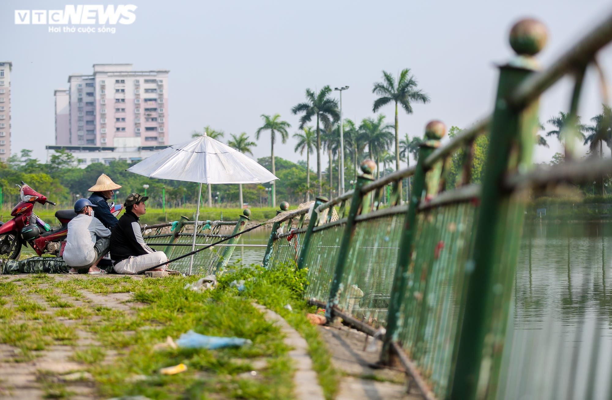 Ảnh: Công viên gần 160 nghìn m2 ở Hà Nội thành nơi... trồng rau, nuôi gà - 7