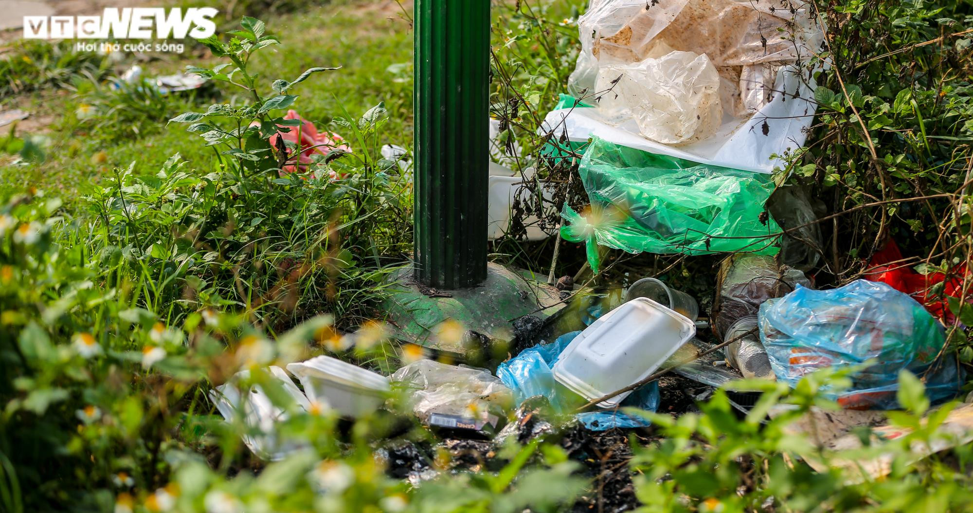 Ảnh: Công viên gần 160 nghìn m2 ở Hà Nội thành nơi... trồng rau, nuôi gà - 9