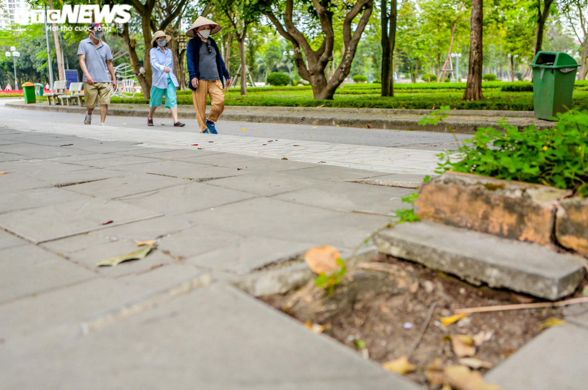 Ảnh: Hai công viên nổi tiếng Hà Nội xuống cấp, 'bẫy' người đến vui chơi - 4