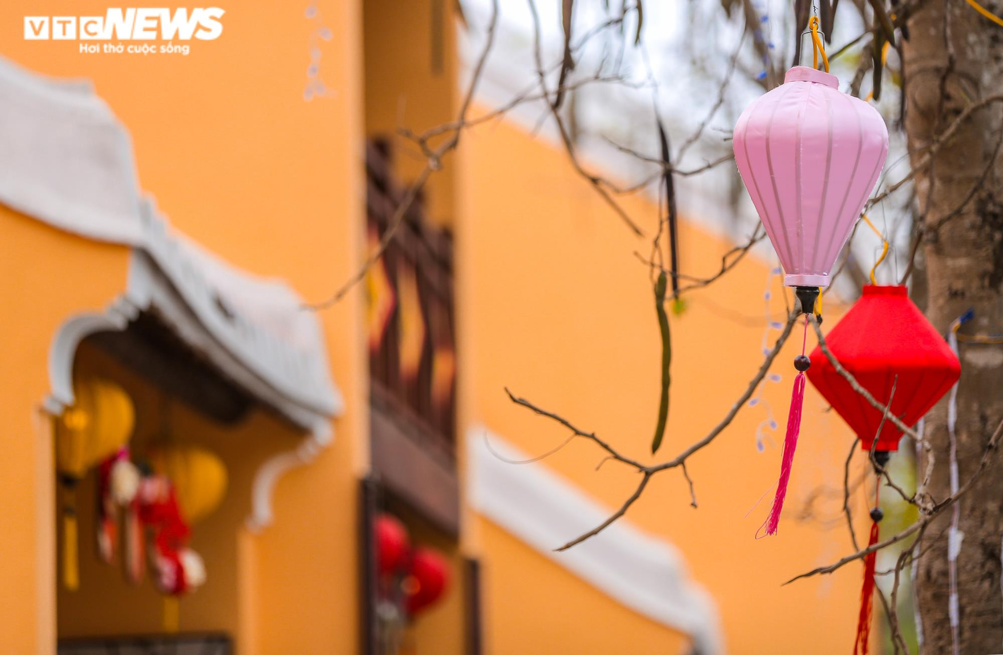 Ảnh: Chiêm ngưỡng Hội An thu nhỏ giữa lòng xứ Thanh - 10