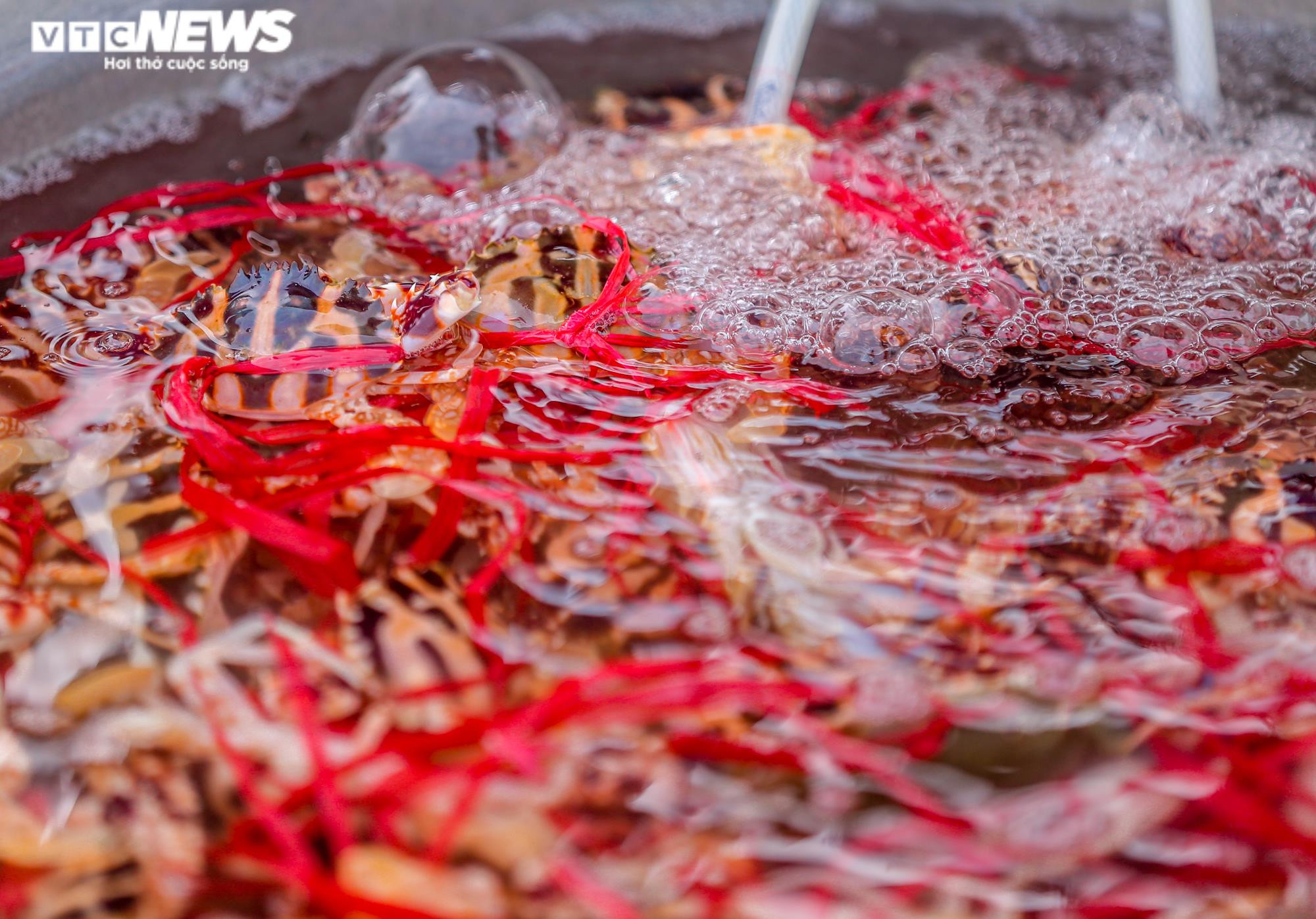 Ảnh: Hải sản biển Sầm Sơn hút khách mùa du lịch - 8