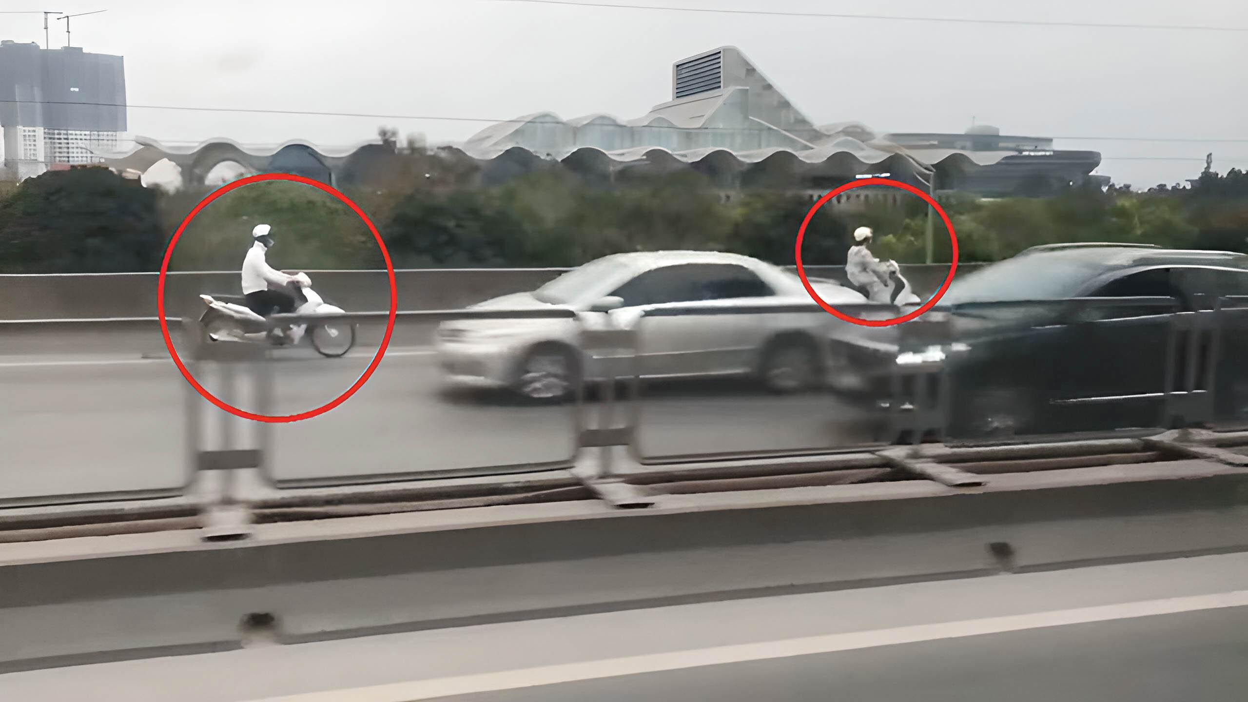 Nỗi thống khổ người đi đúng phải đền cho người đi sai! - 2