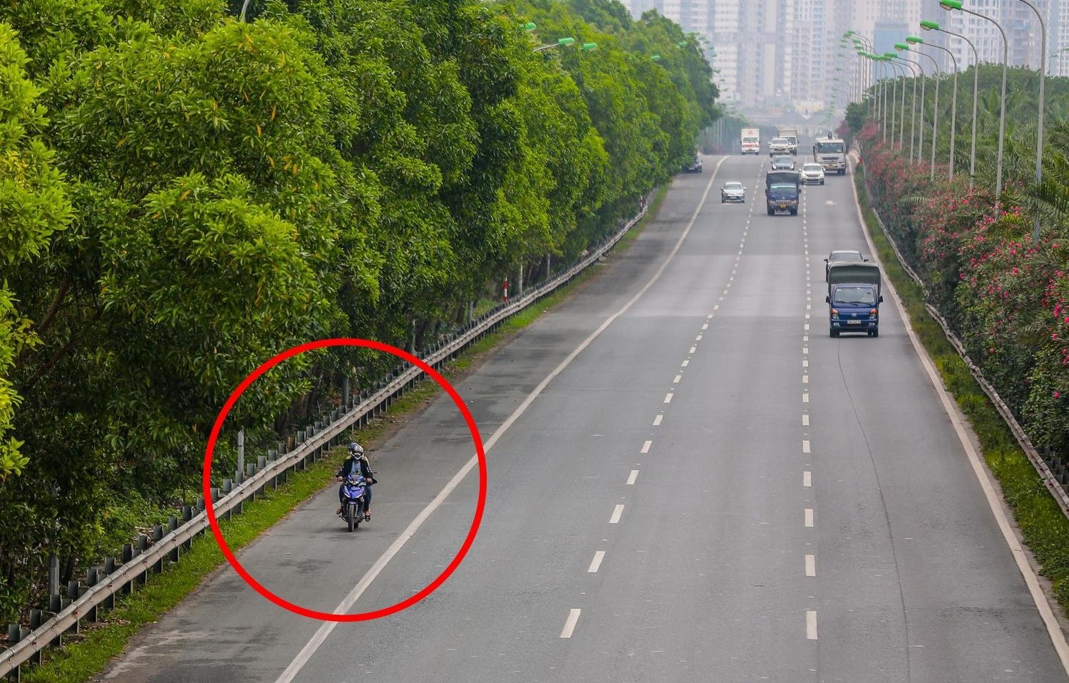 Tư duy 'xe lớn phải đền xe bé': Pháp luật đang bảo vệ người sai - 2