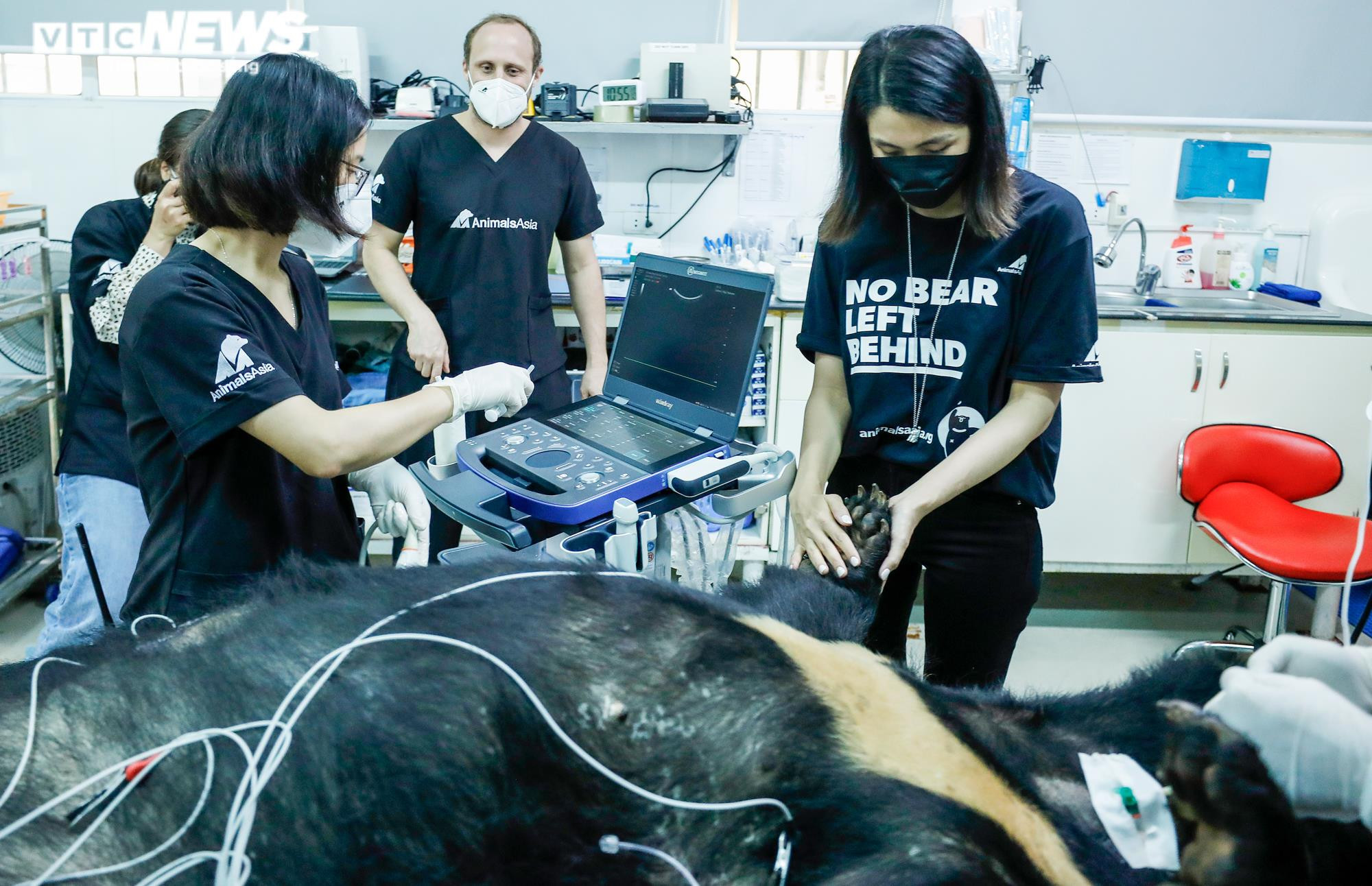 Tăng Thanh Hà và dàn sao quốc tế cùng trải nghiệm chăm sóc gấu - 10