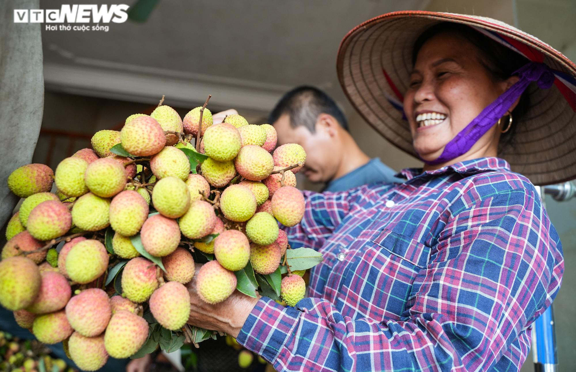 Ảnh: Niềm vui được mùa tại thủ phủ vải sớm Tân Yên, Bắc Giang - 14