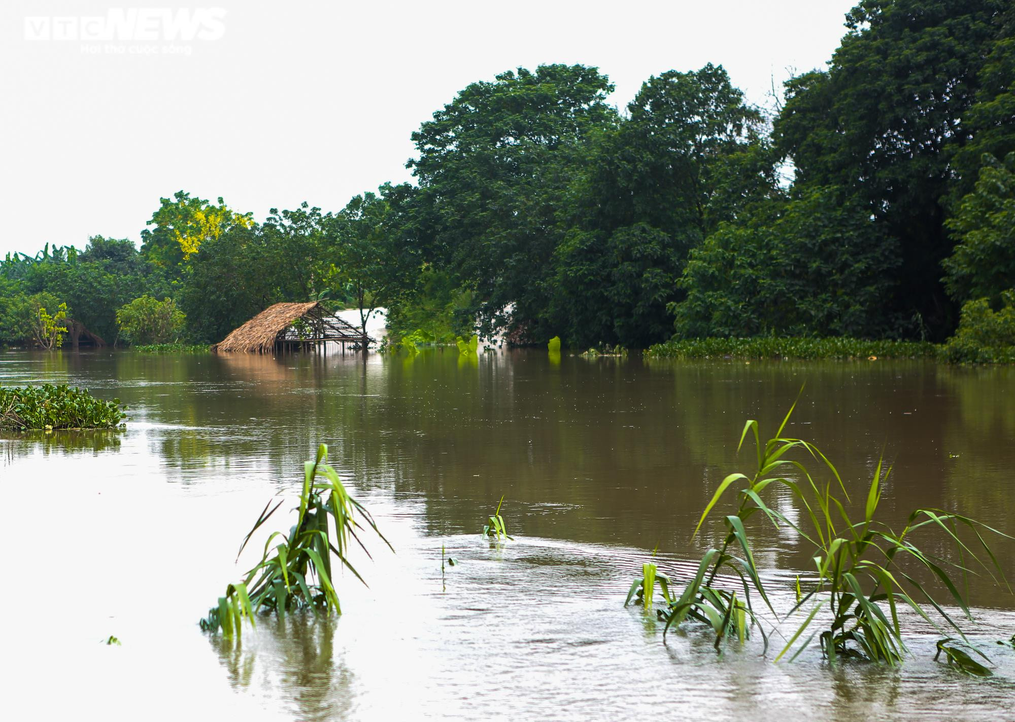 Kiếm tiền triệu mỗi ngày nhờ đưa khách qua đoạn bãi giữa sông Hồng ngập nước - 7