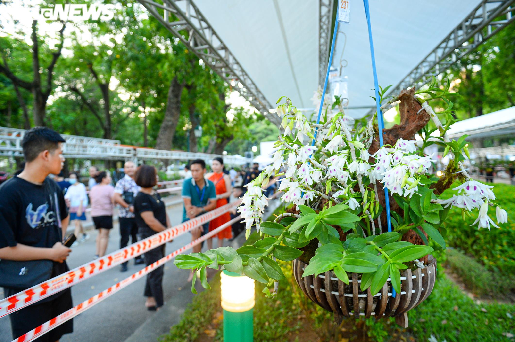 Chàng trai vượt hơn 1700km mang khao khát Lan Var ra Hà Nội - 9