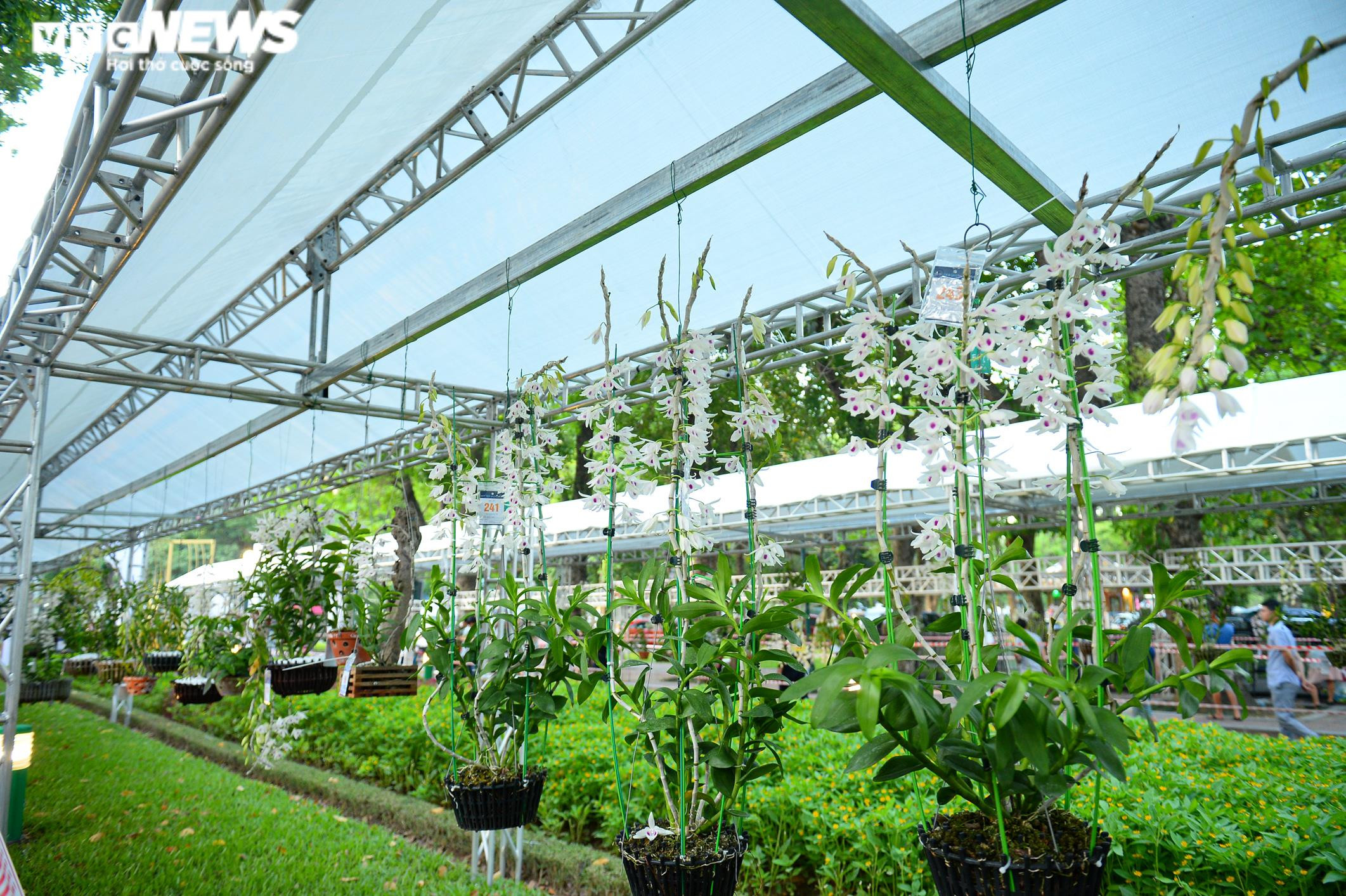 Chàng trai vượt hơn 1700km mang khao khát Lan Var ra Hà Nội - 8