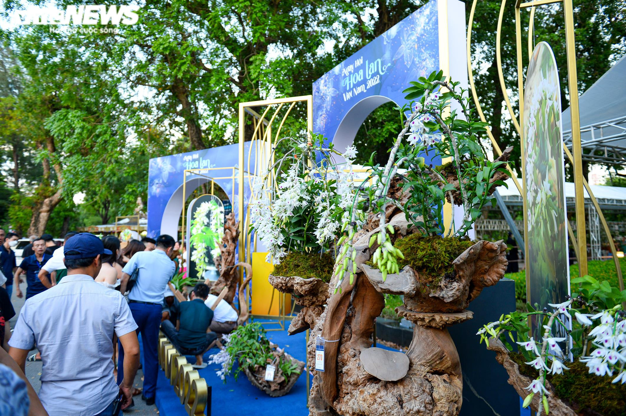 Chàng trai vượt hơn 1700km mang khao khát Lan Var ra Hà Nội - 13