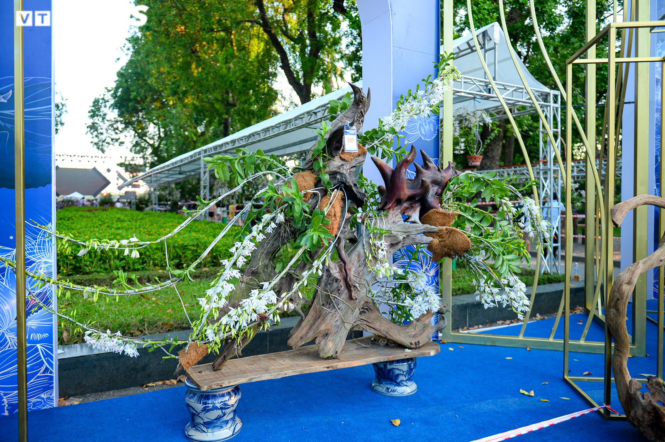 Chàng trai vượt hơn 1700km mang khao khát Lan Var ra Hà Nội - 3