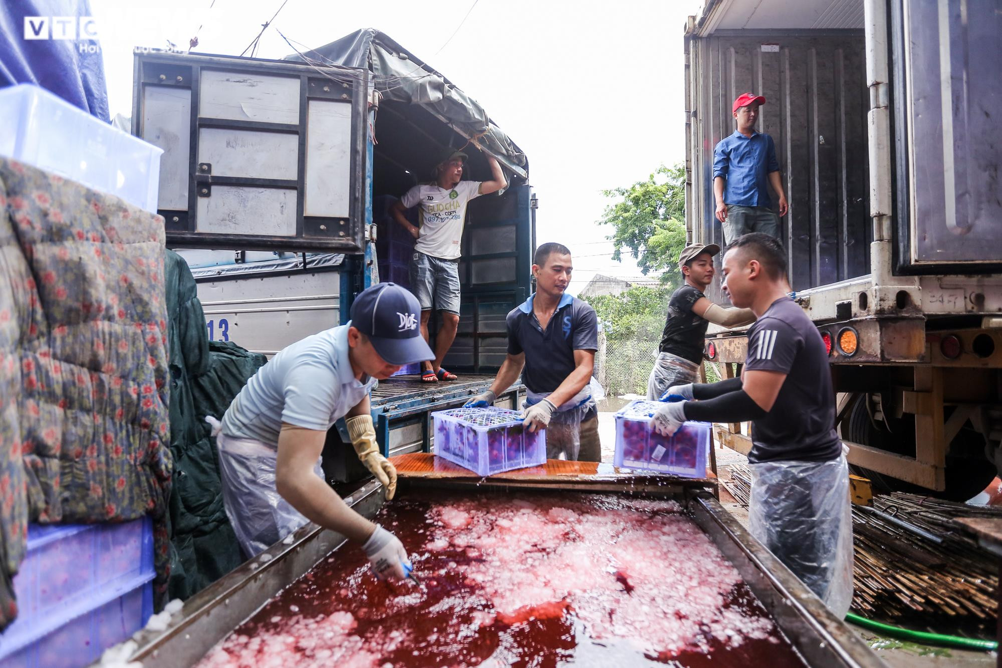 Phu vải 'bán sức lấy tiền', kiếm bạc triệu mỗi ngày tại thủ phủ vải thiều - 13