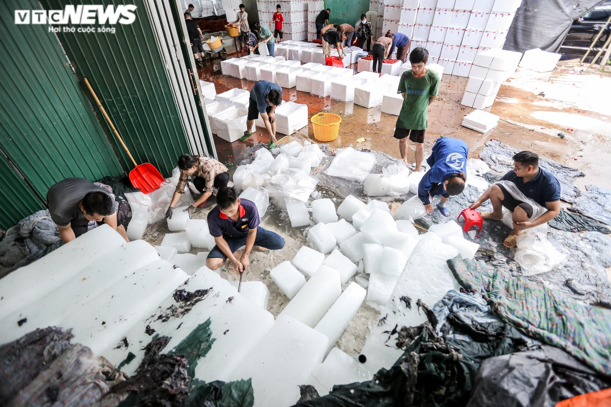 Phu vải 'bán sức lấy tiền', kiếm bạc triệu mỗi ngày tại thủ phủ vải thiều - 3