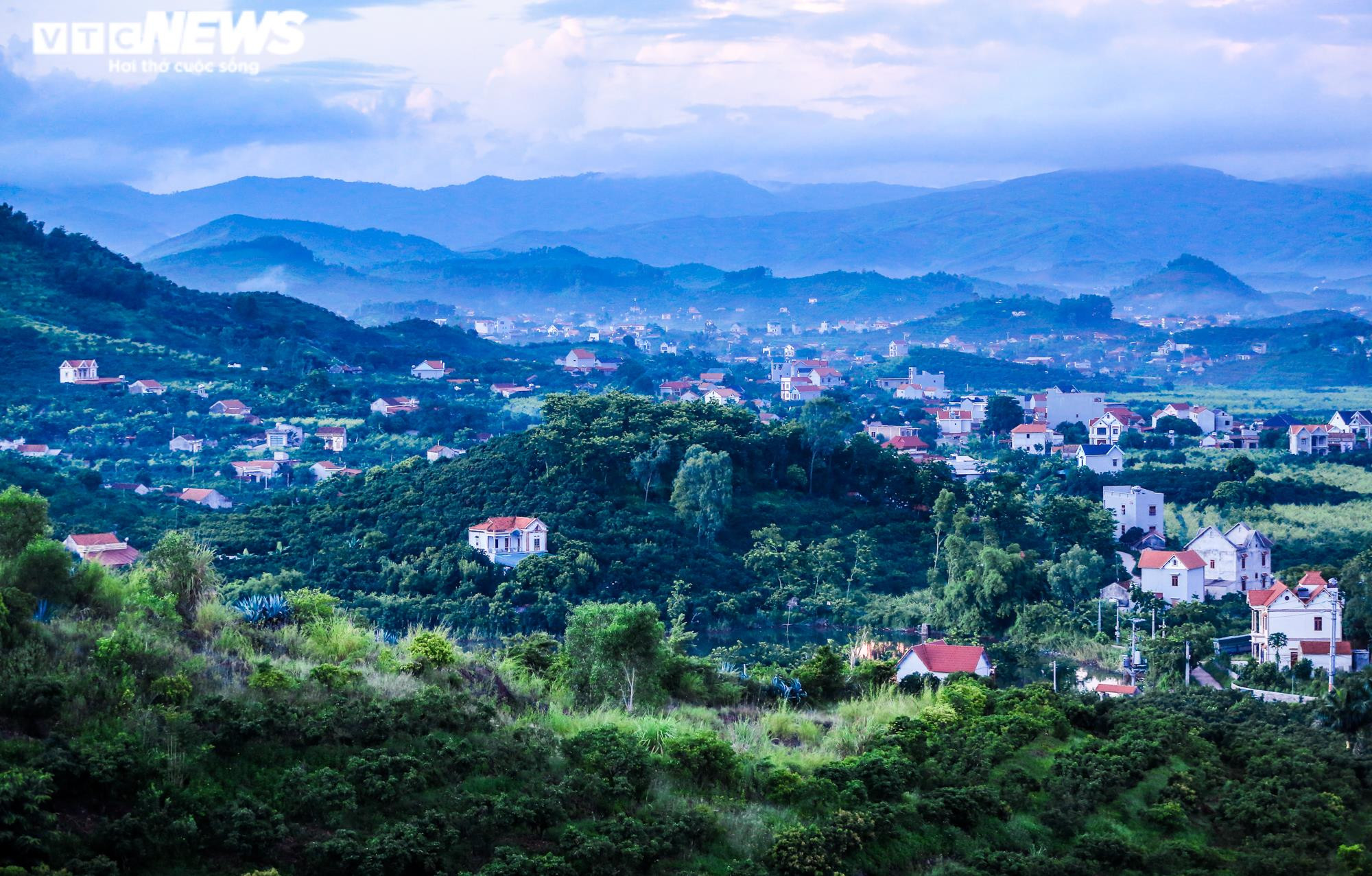 Ảnh: Theo chân nông dân Lục Ngạn soi đèn thâu đêm thu hoạch vải - 1