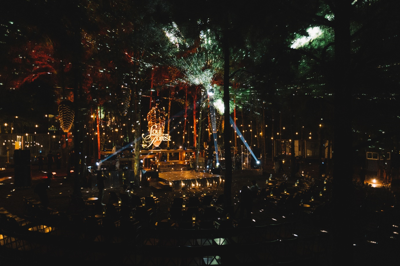 Tưới mát tâm hồn trong đêm nhạc 'Du hành vào cơn mưa' - 4