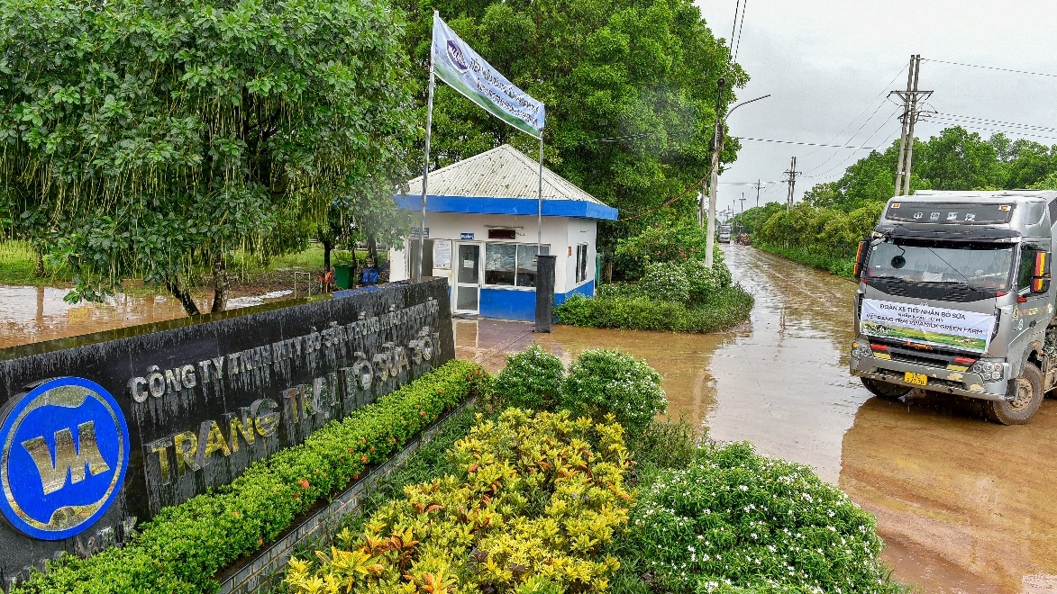 Hệ thống trang trại Vinamilk Green Farm đón thêm 1.550 bò sữa nhập khẩu từ Mỹ - 4