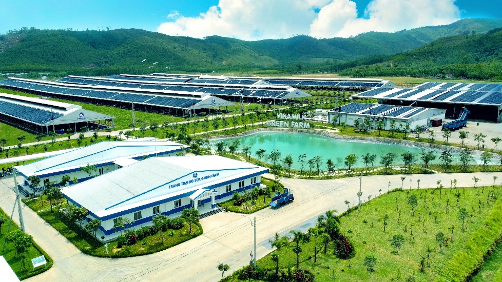 Hệ thống trang trại Vinamilk Green Farm đón thêm 1.550 bò sữa nhập khẩu từ Mỹ - 7