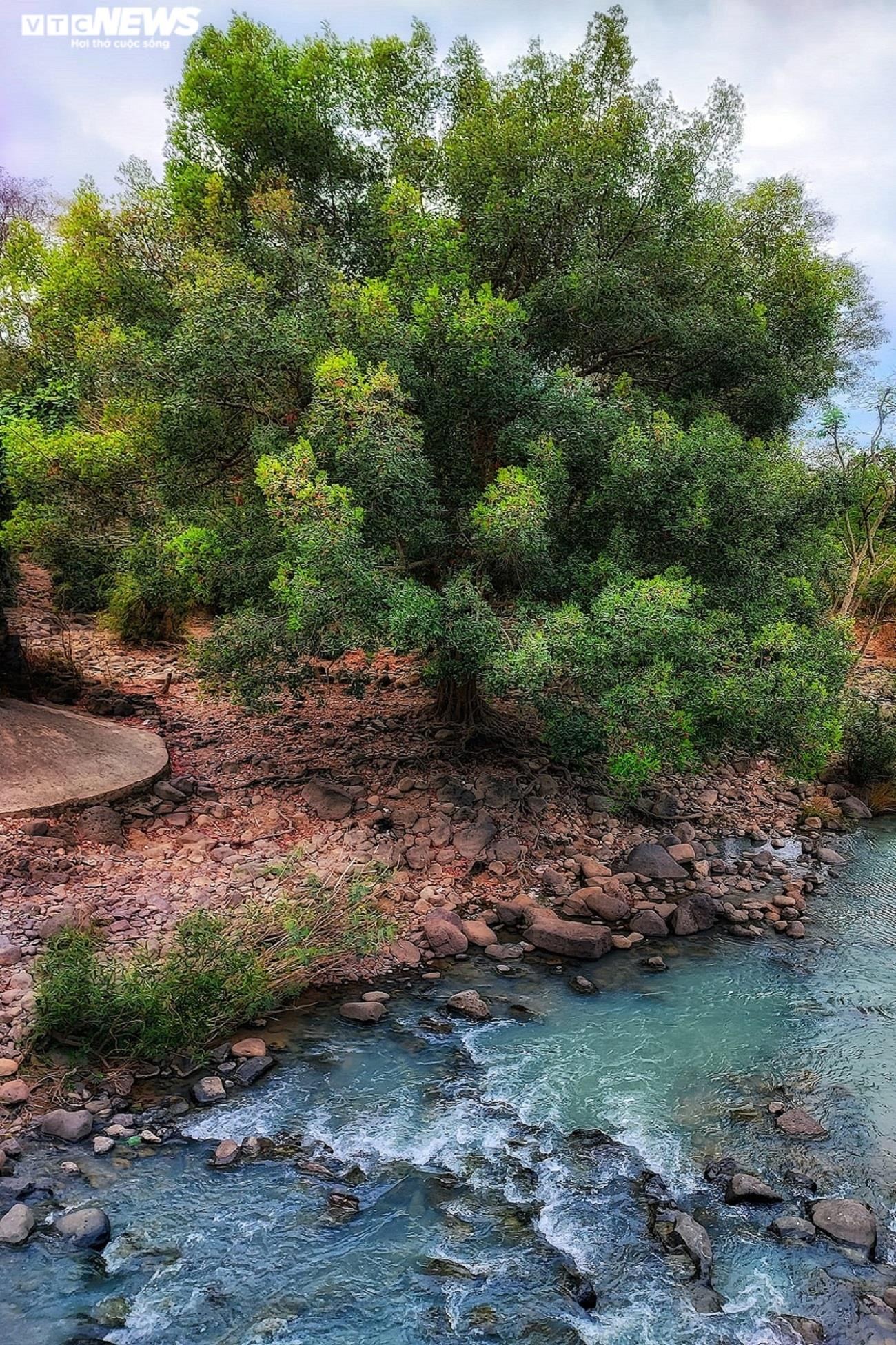 Ảnh: Thác Dray Nur, 'nàng thơ' đẹp thổn thức giữa đại ngàn Tây Nguyên - 6