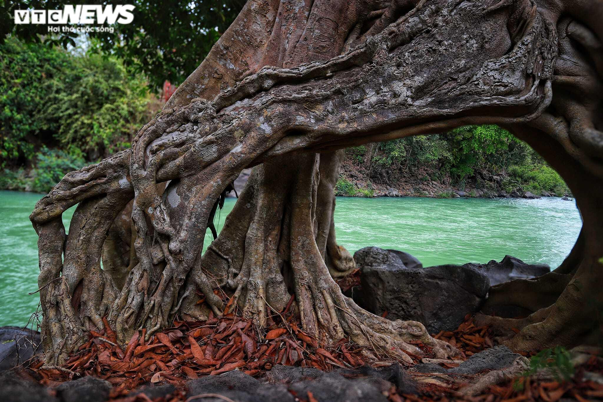 Ảnh: Thác Dray Nur, 'nàng thơ' đẹp thổn thức giữa đại ngàn Tây Nguyên - 5