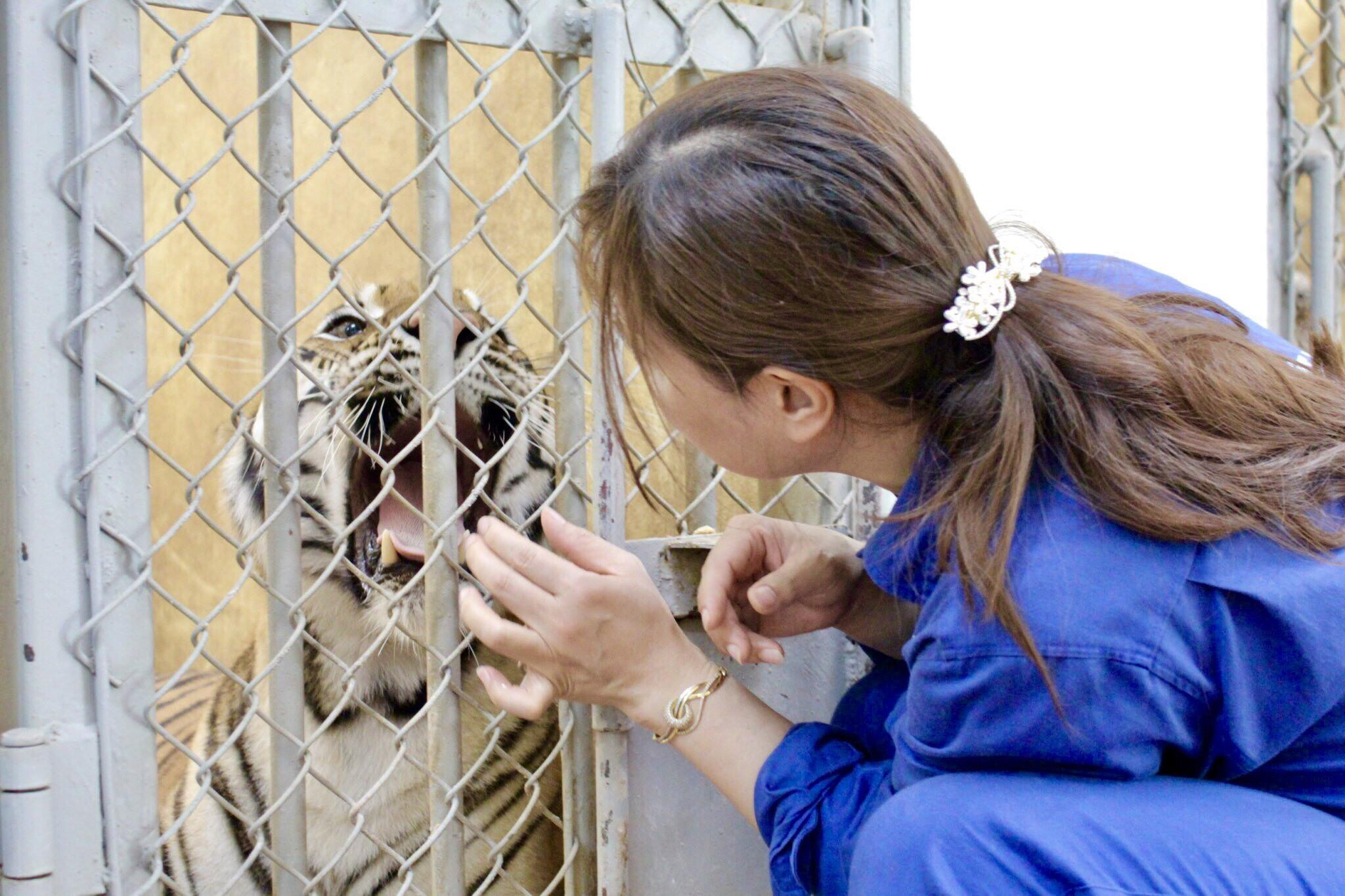 Người mẹ của những 'đứa con hổ' - 2