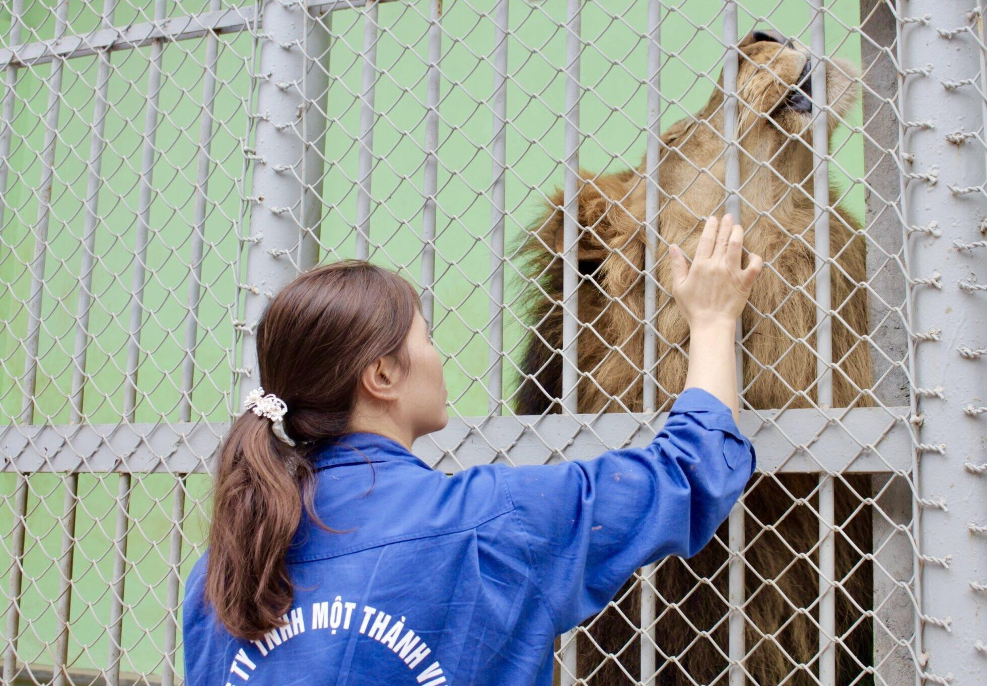 Người mẹ của những 'đứa con hổ' - 3