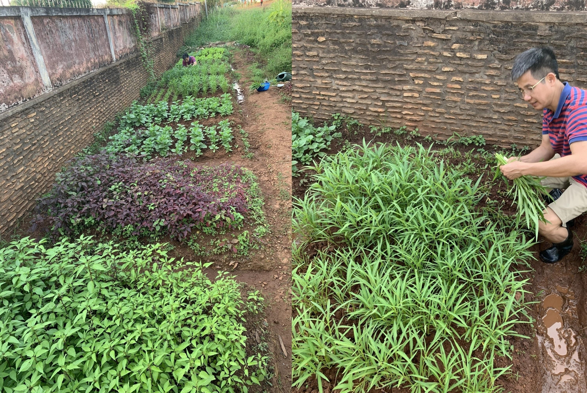 Nữ Thiếu tá và kỷ vật vô giá của đồng đội hy sinh ở Cộng hòa Trung Phi - 5