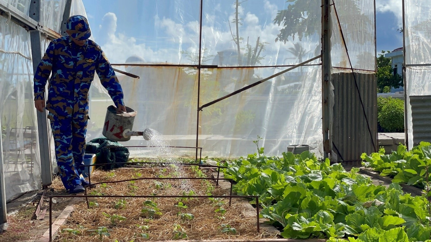 17 lần ra Trường Sa trồng rau cho chiến sỹ - 8