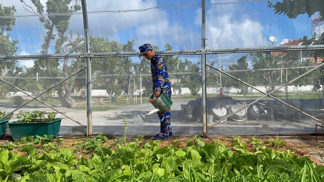 17 lần ra Trường Sa trồng rau cho chiến sỹ - 7