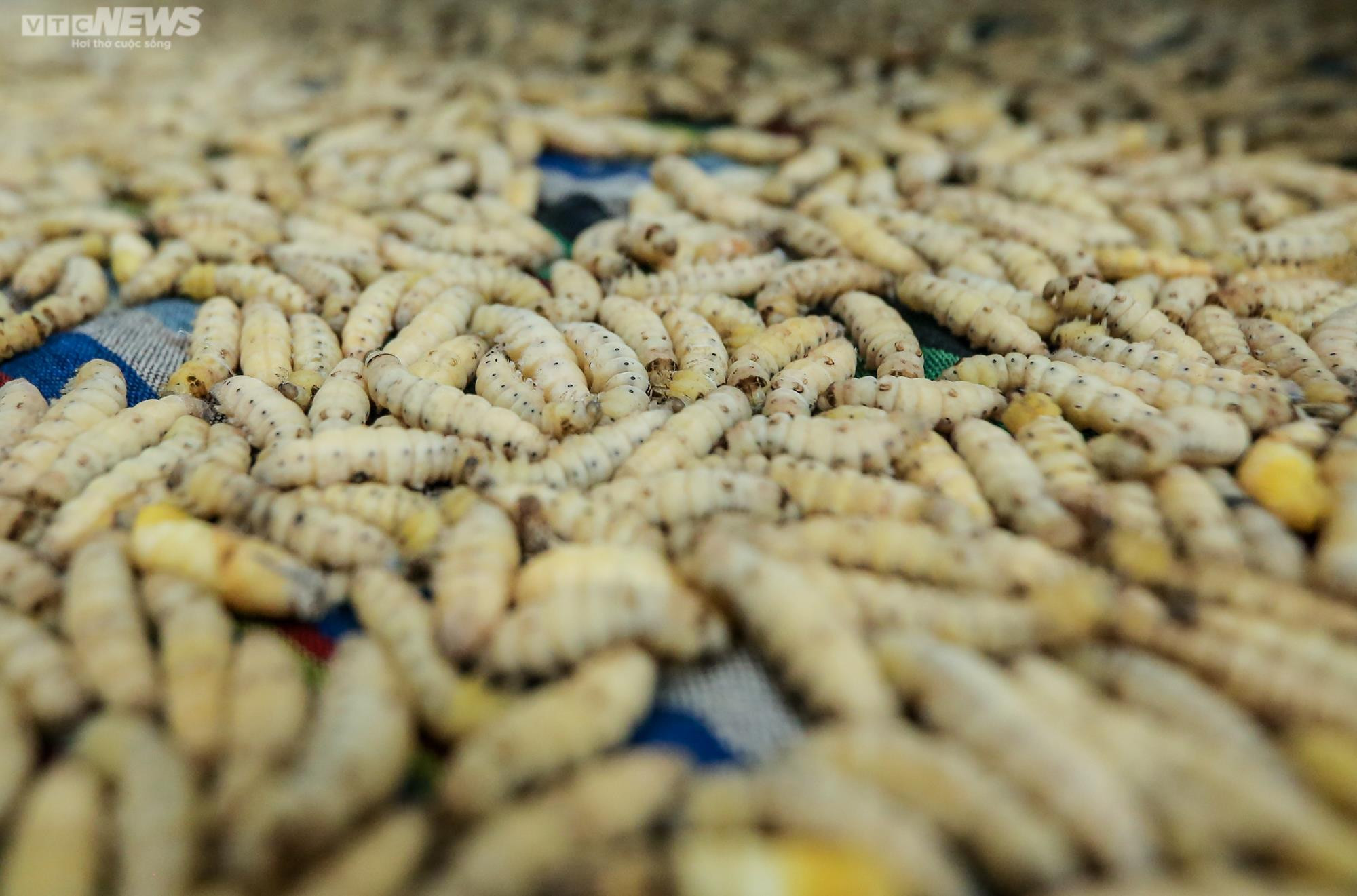 Người giữ 'lửa nghề' dệt lụa tơ tằm truyền thống ở Hà Nội - 4