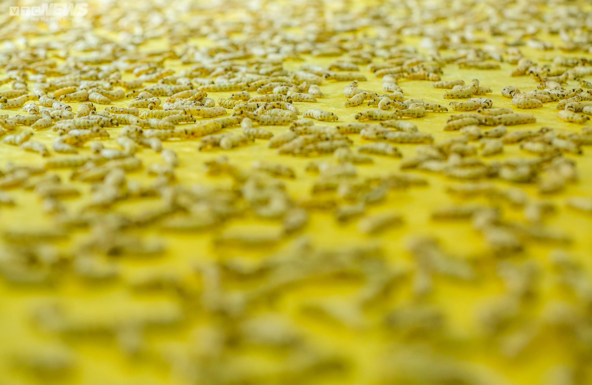 Người giữ 'lửa nghề' dệt lụa tơ tằm truyền thống ở Hà Nội - 3