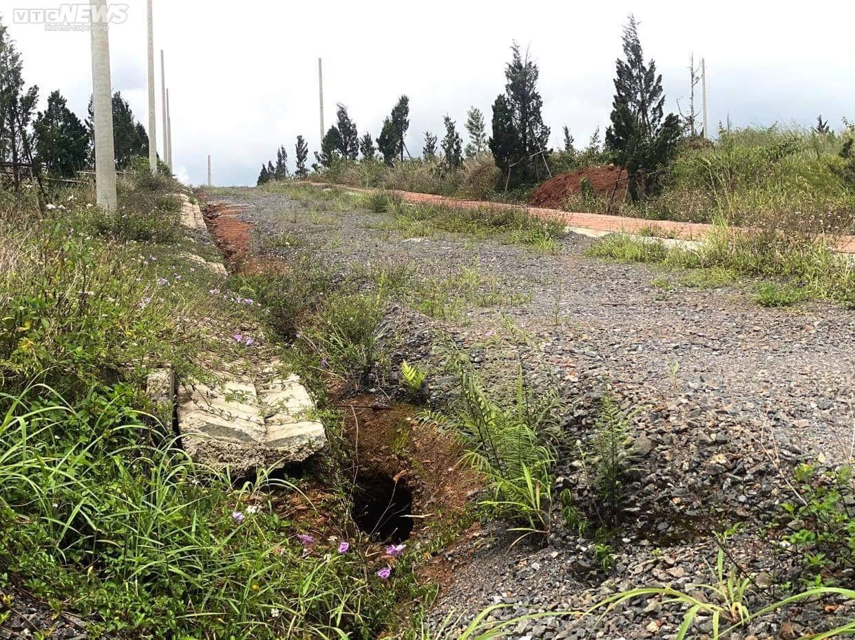 Cỏ dại bao phủ những 'siêu dự án' phân lô, bán nền ở Lâm Đồng sau thời sốt nóng - 8