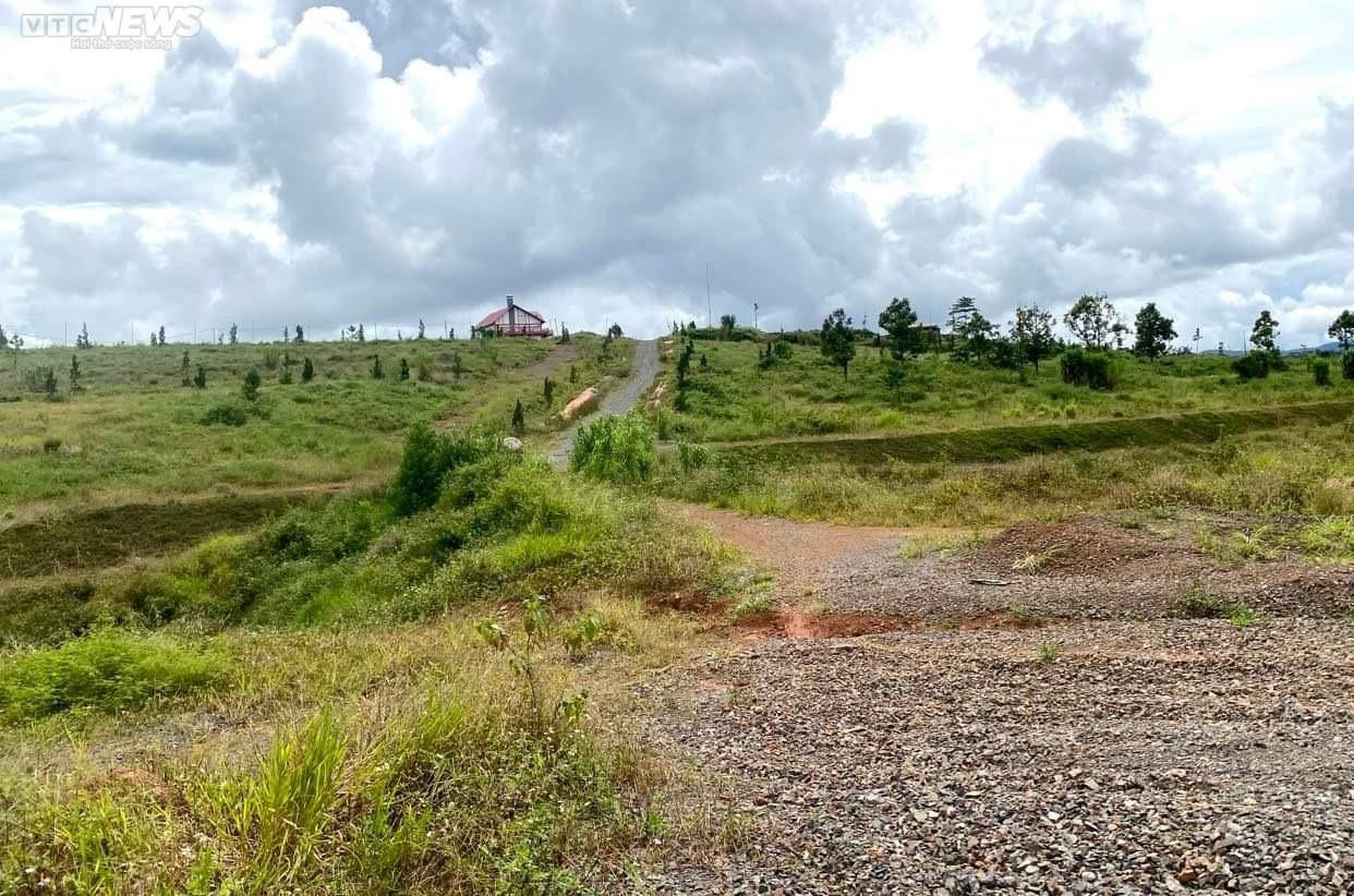 Cỏ dại bao phủ những 'siêu dự án' phân lô, bán nền ở Lâm Đồng sau thời sốt nóng - 7