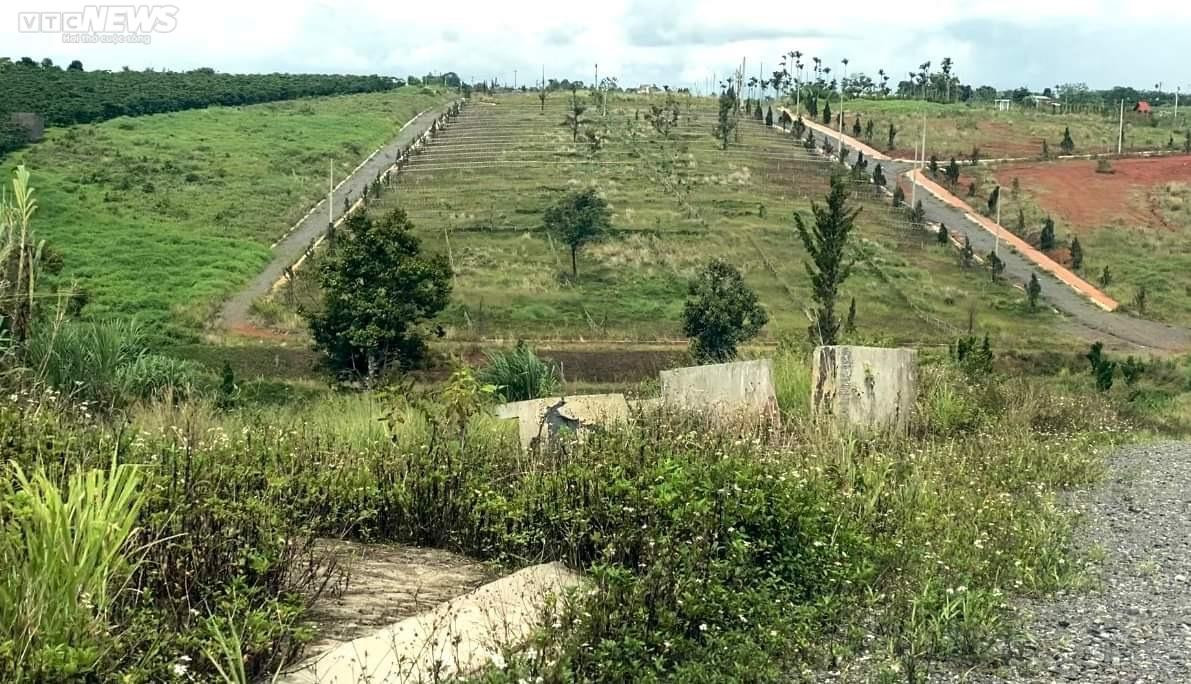Cỏ dại bao phủ những 'siêu dự án' phân lô, bán nền ở Lâm Đồng sau thời sốt nóng - 9