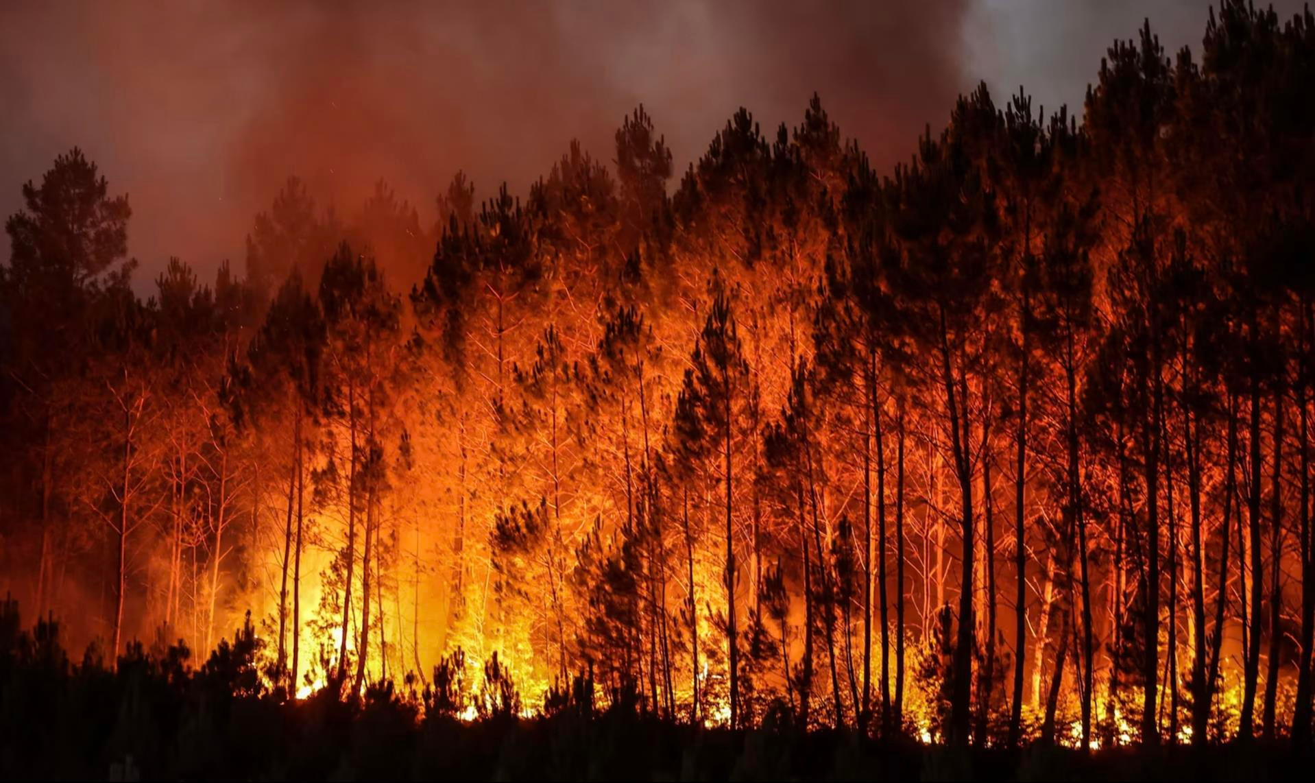 Nhiệt độ thiêu đốt bao trùm thế giới: Đã quá muộn cứu Trái Đất? - 2